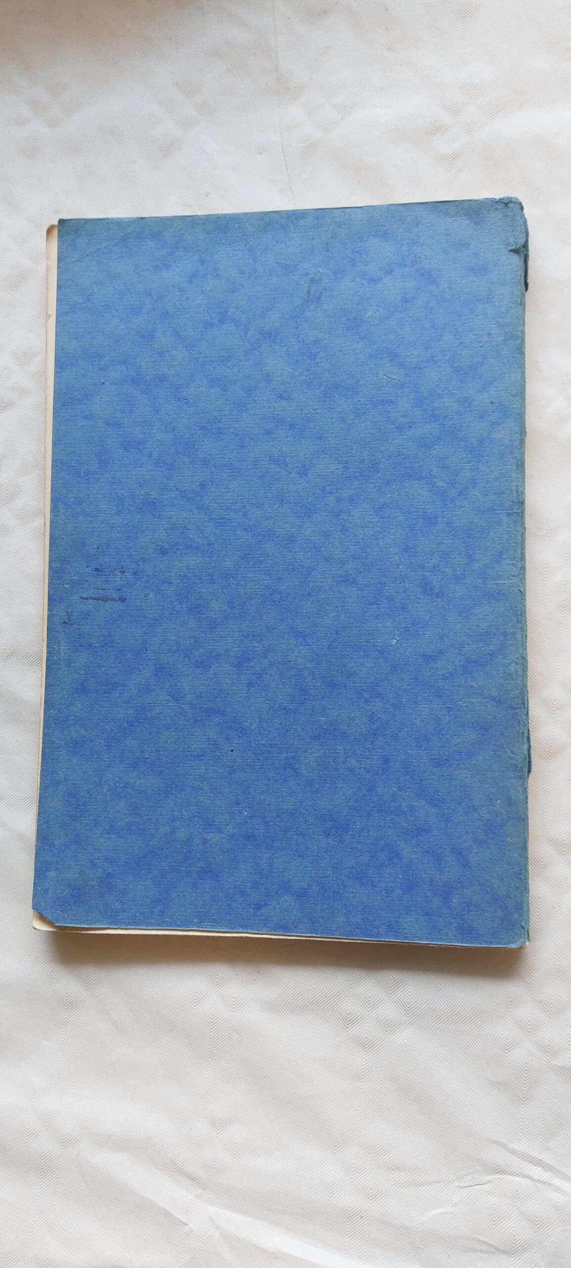 Läänemaa õpetajate seminar 1921-1931. - Image 4