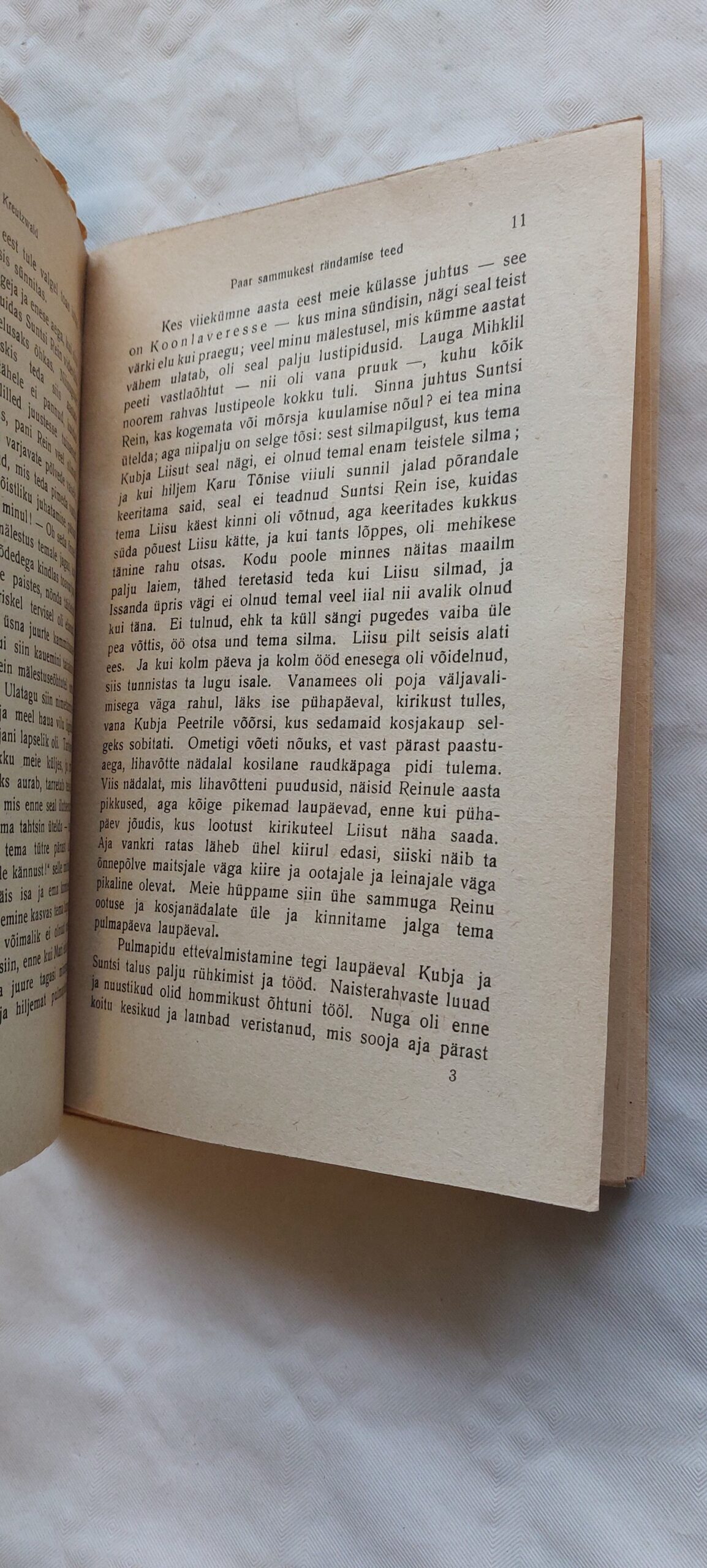 Paar sammukest rändamise teed. F. R Kreutzwald. 1922 - Image 3