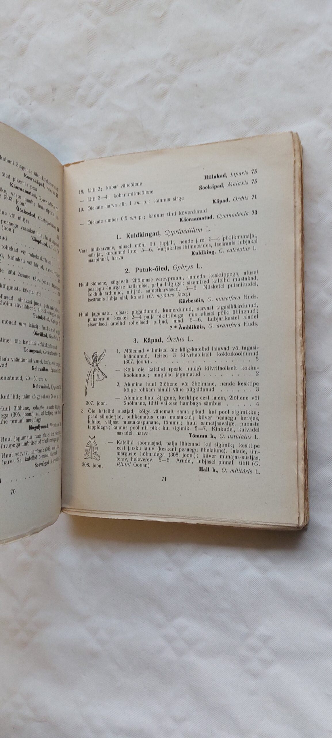 Eesti tamiestik koolidele. G. Vilberg. 1925 - Image 3