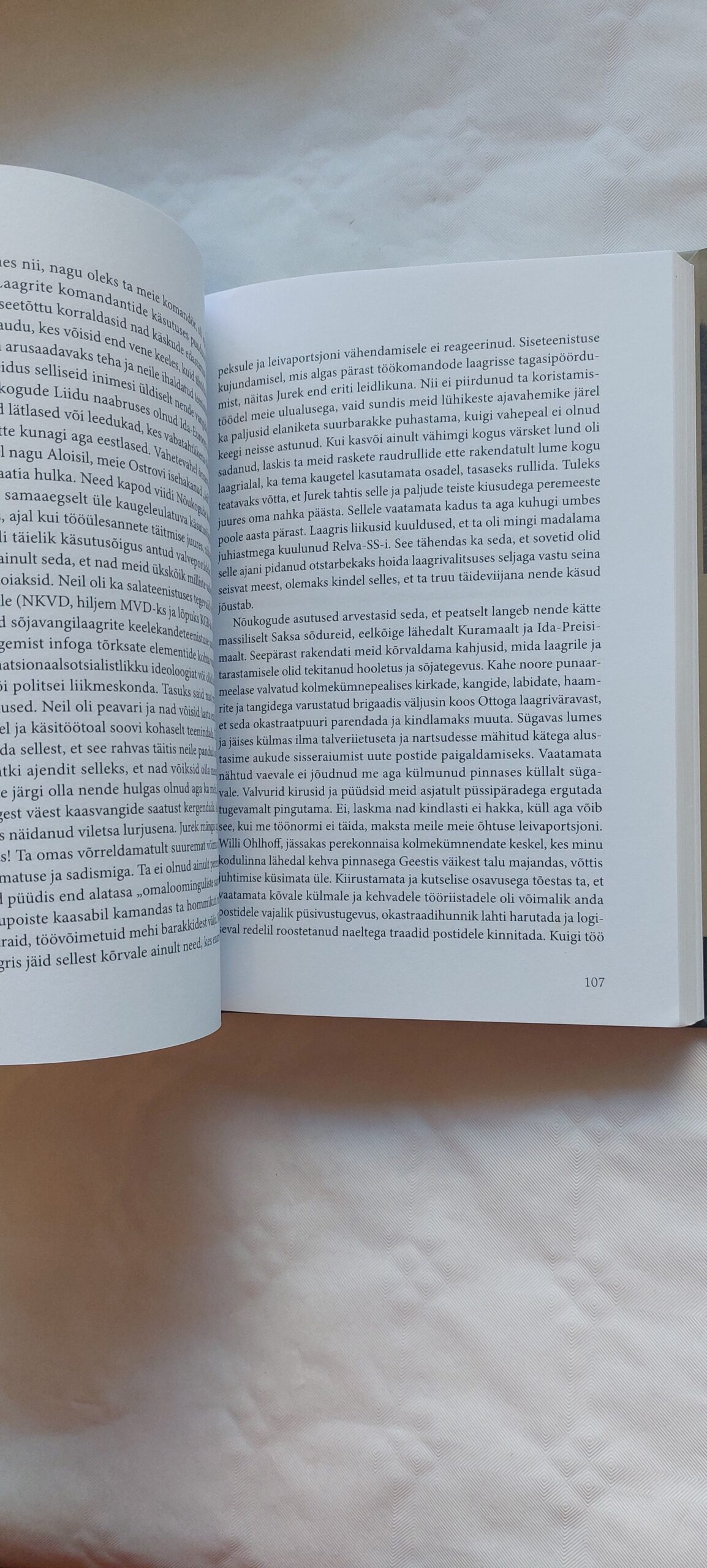 Sild väikesel emajõel. Hans-Werner Loeck. 2017 - Image 4