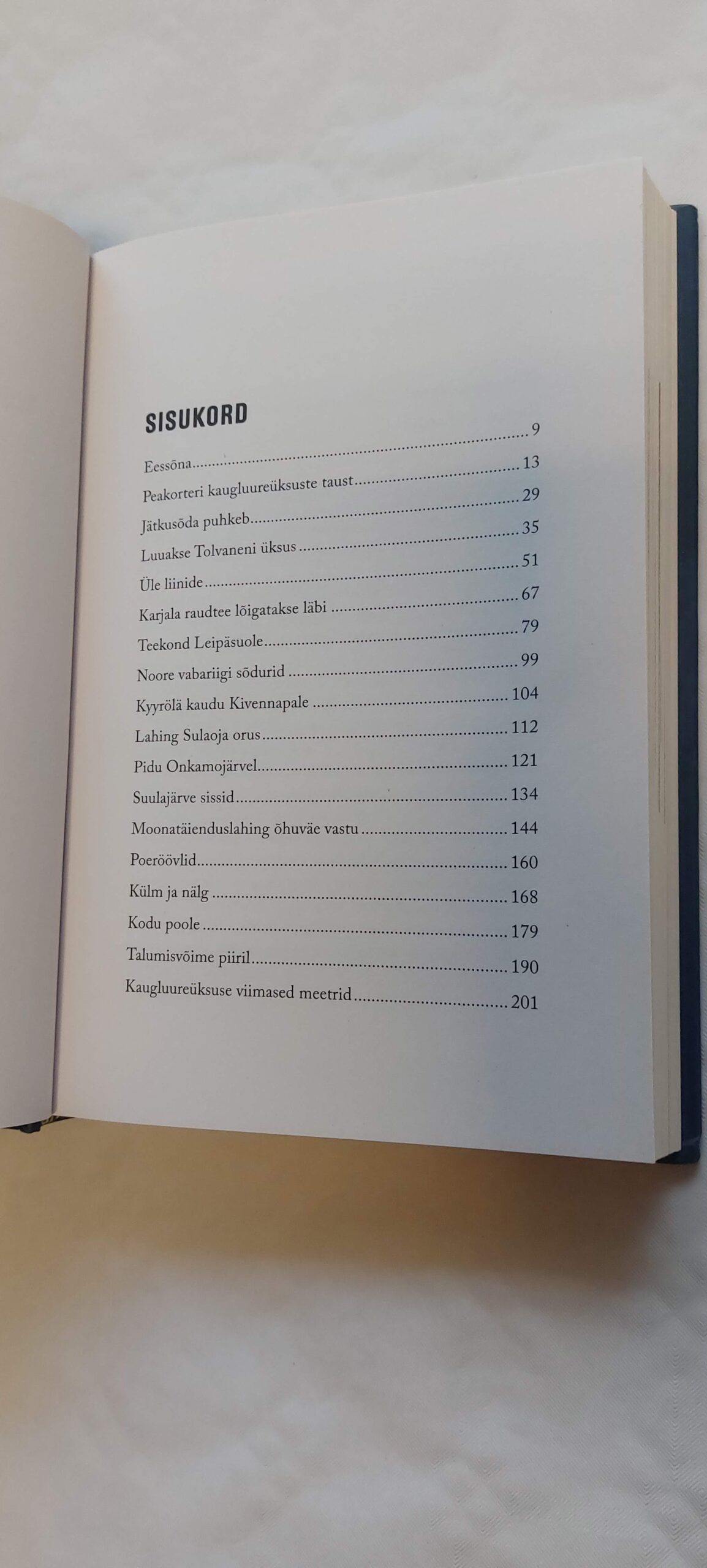 Rünnaku eel. Mikko Porvali. 2023 - Image 3