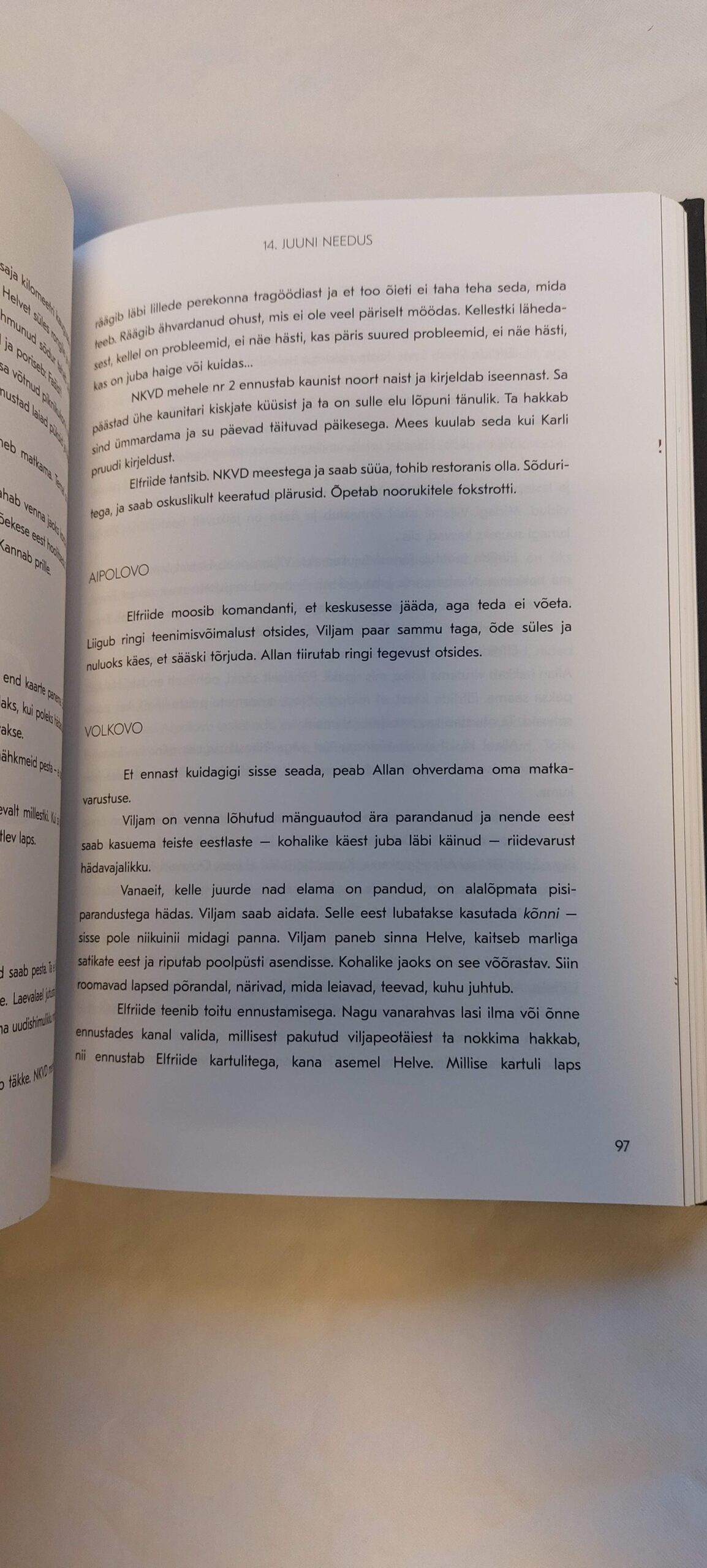 14. juuni needus. Merle Karusoo. 2021 - Image 3