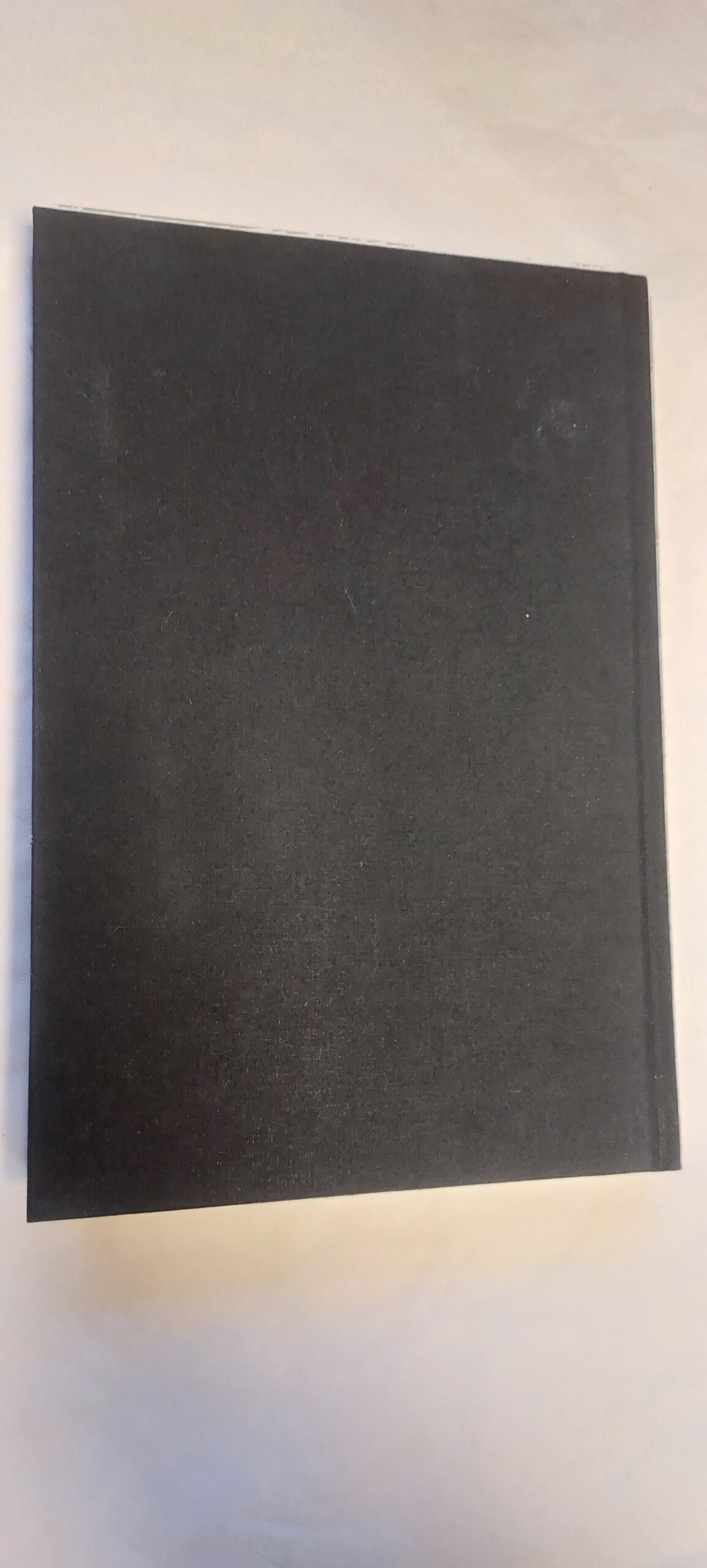 14. juuni needus. Merle Karusoo. 2021 - Image 4