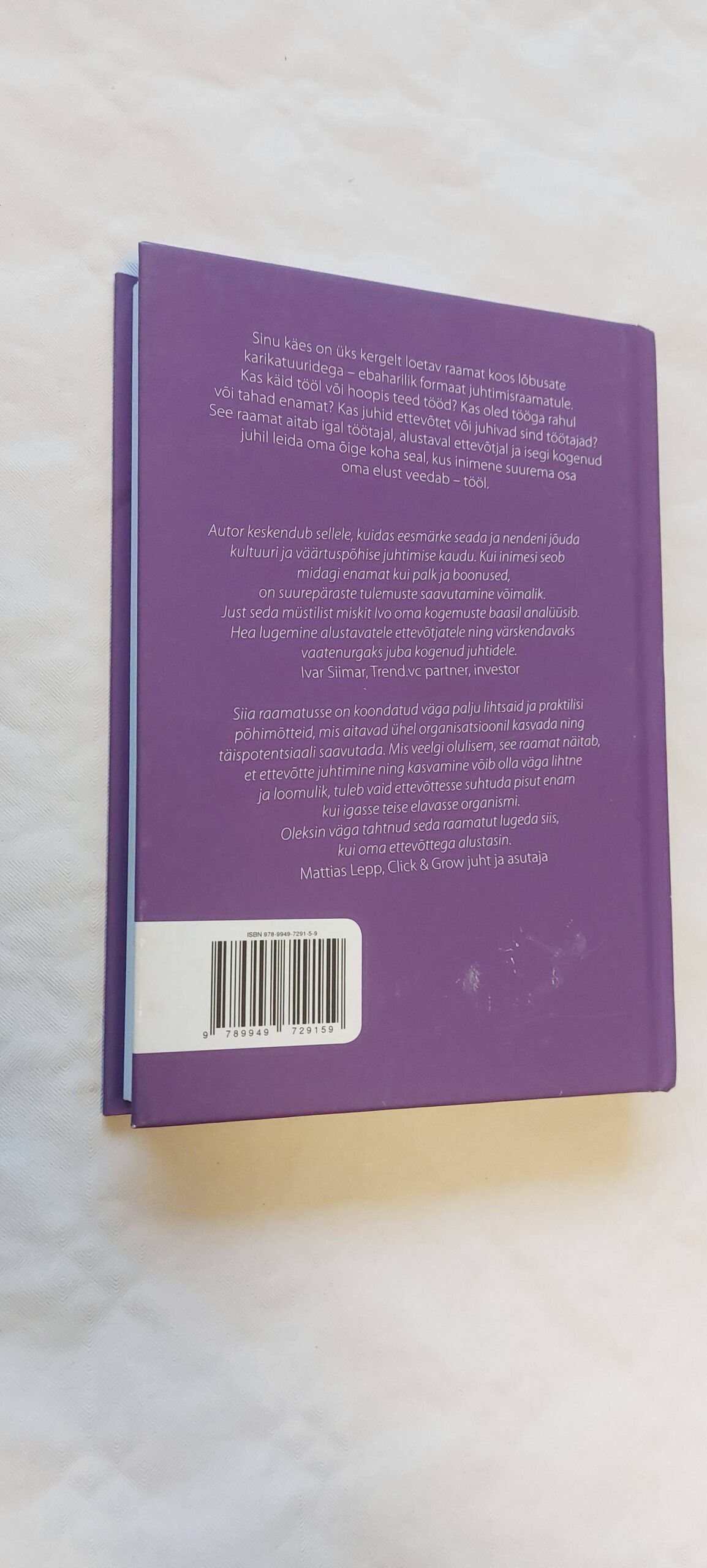 Kes on tõeline juht? Ivo Remmelg. - Image 5