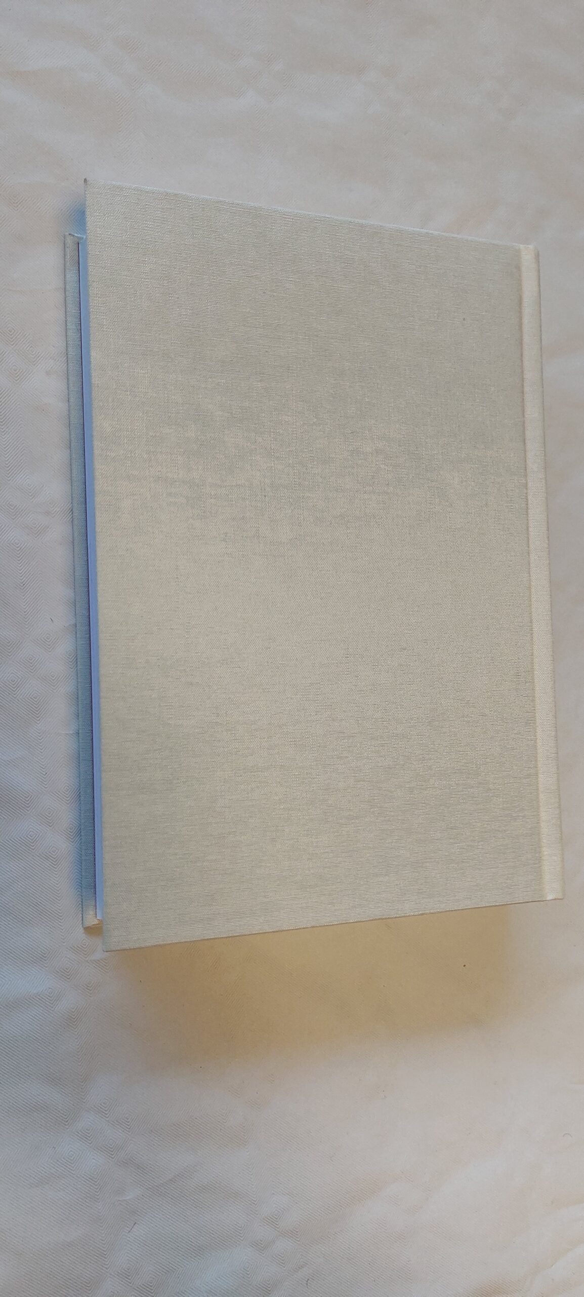 Sammhaaval astuda. Toomas Paul. 2019 - Image 3