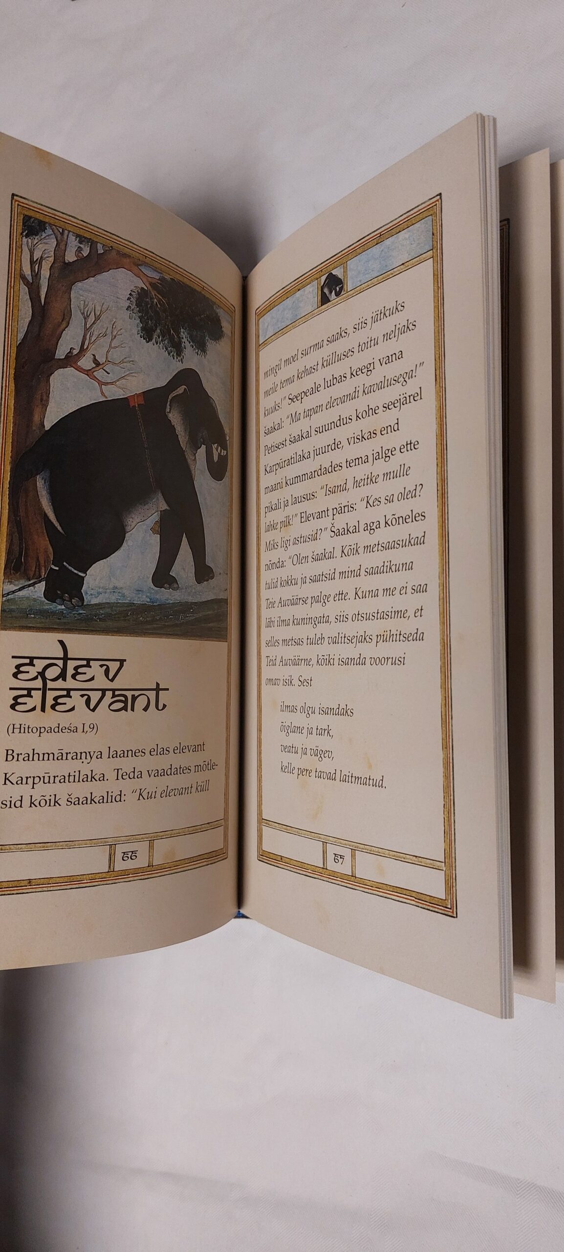 Sinine Šaakal. 2007 - Image 3