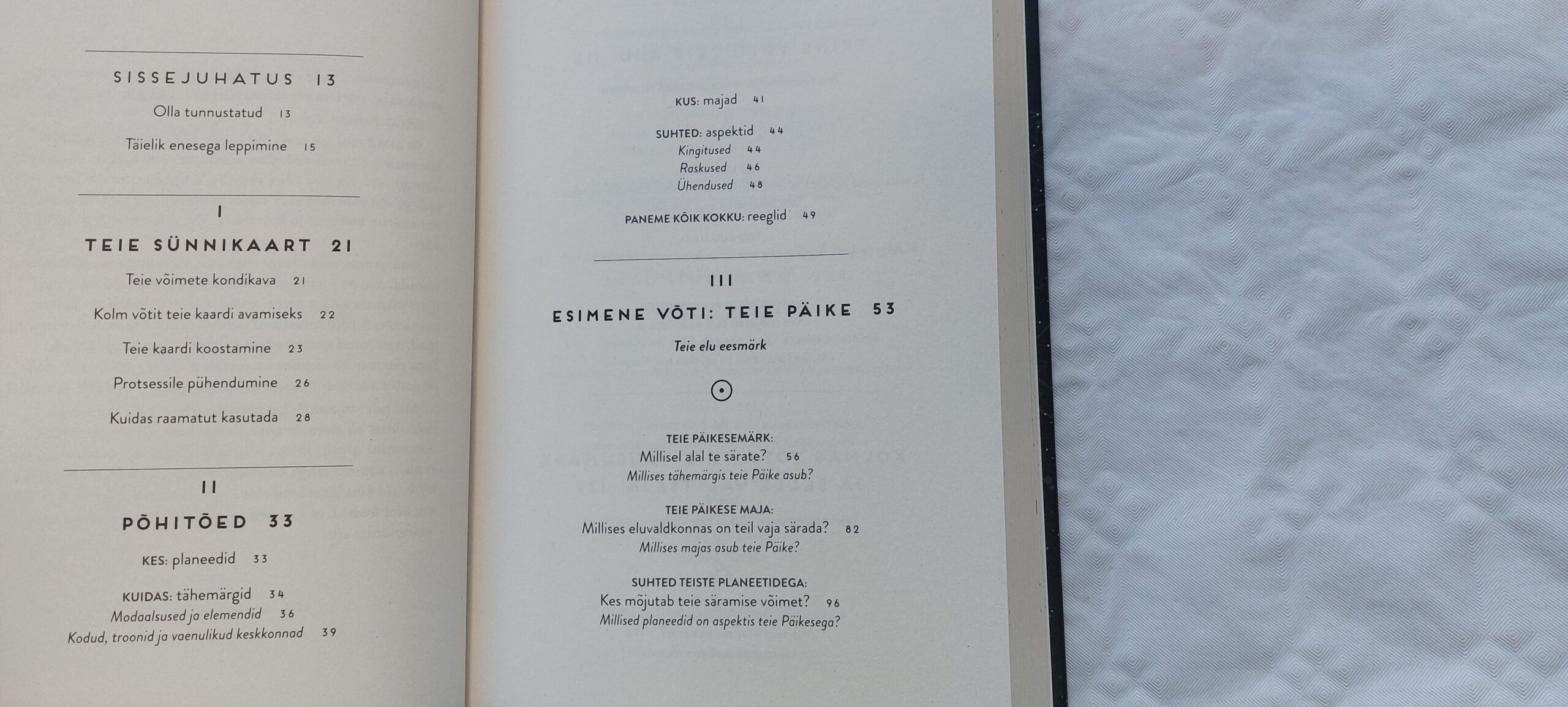 Sa oled selleks sündinud. Chain Nicholas. 2020 - Image 3