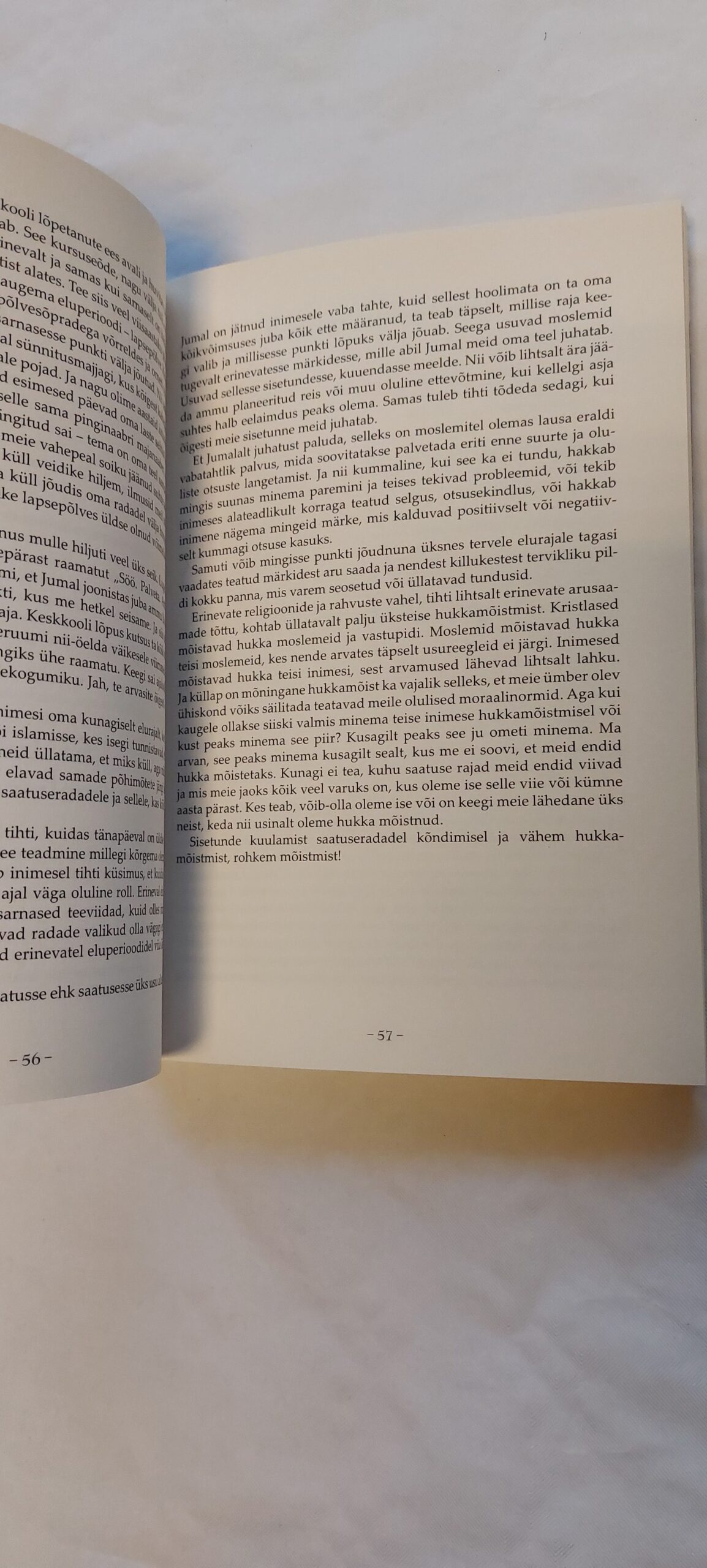 Egiptimaa (I-II. osa). Nele Siplane. 2010 - Image 3