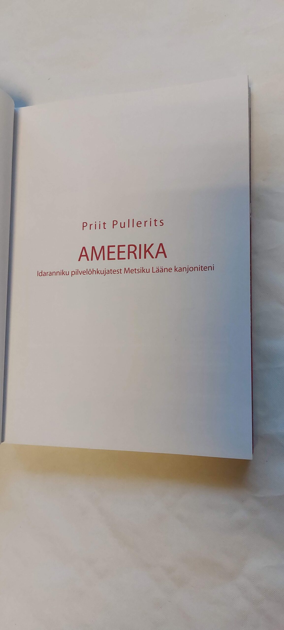 Ameerika. Priit Pullerits. 2008 - Image 2