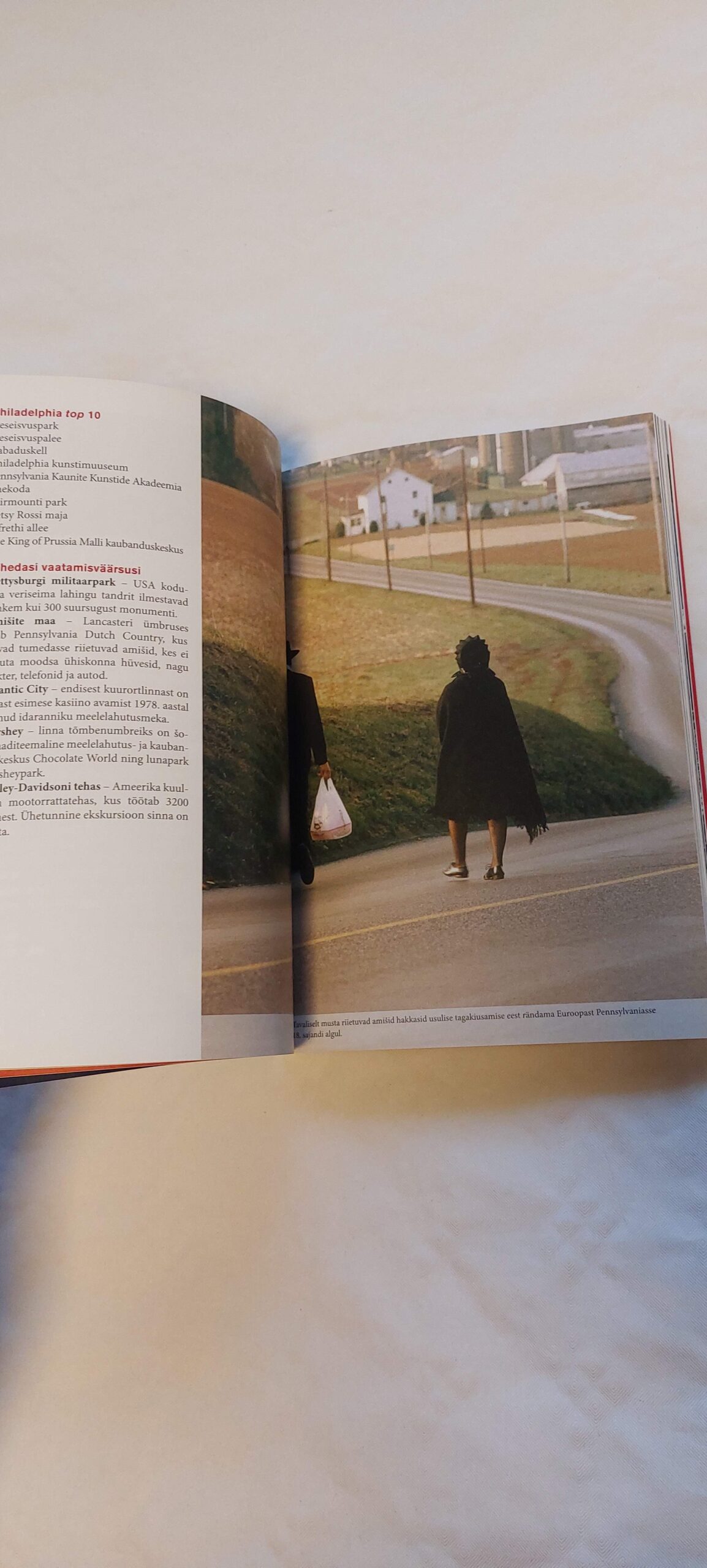 Ameerika. Priit Pullerits. 2008 - Image 3