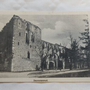 EV AEGNE POSTKAART. TARTU DOOMEVAREMED.