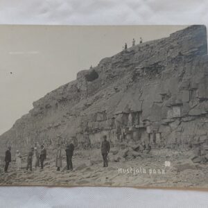 EV AEGNE POSTKAART. MUSTJALA PANK.