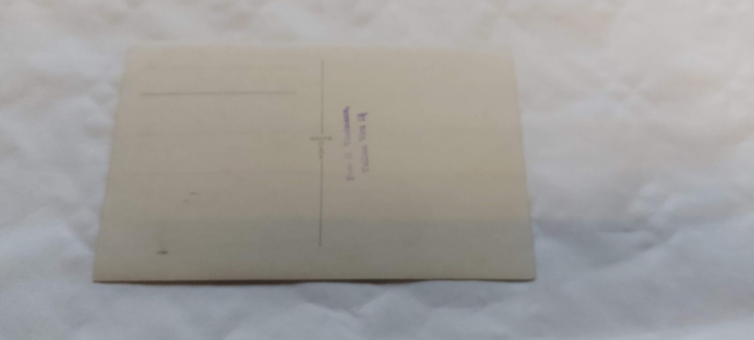 EV AEGNE POSTKAART. IX EESTI ÜLDLAULUPIDU TALLINNAS 1928 ÜLDVAADE. - Image 2