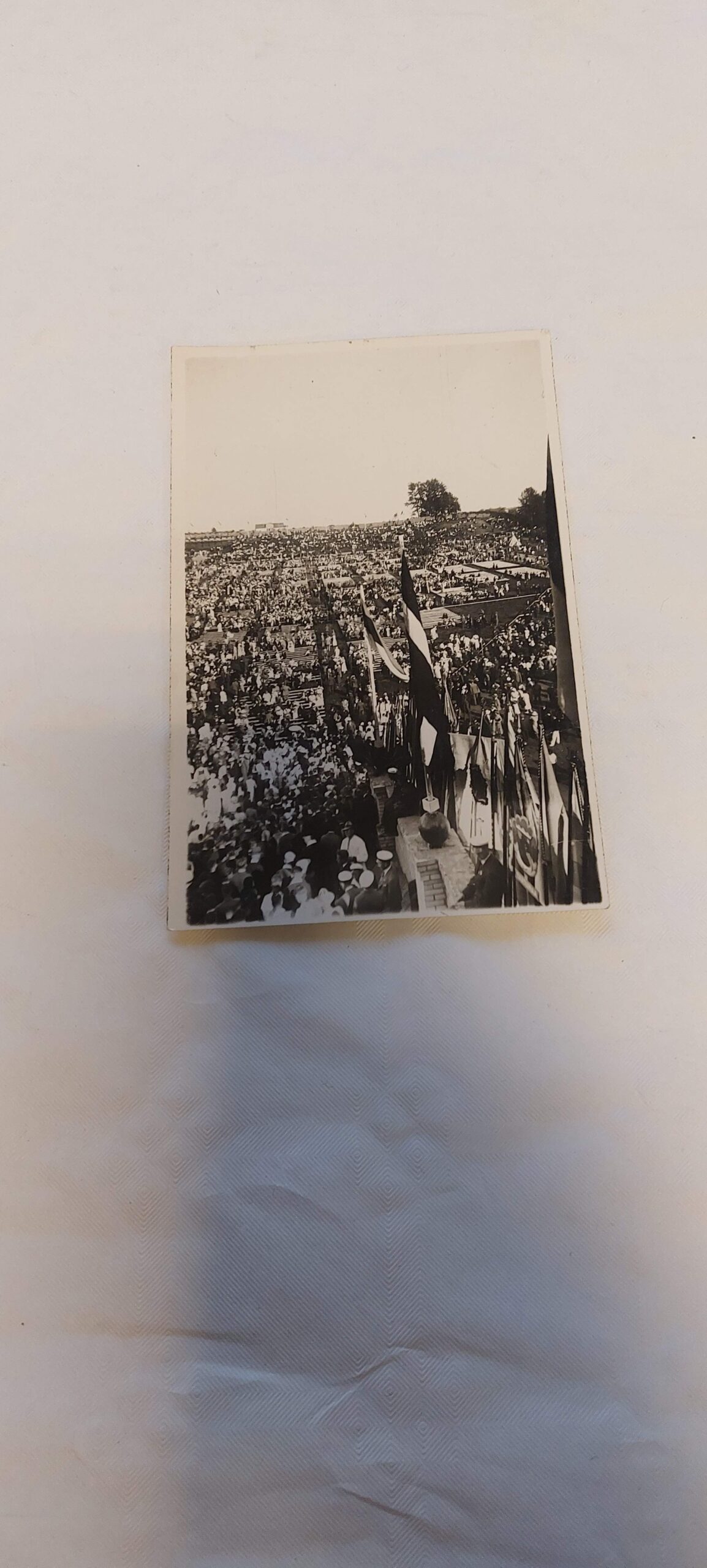 EV AEGNE POSTKAART. PARIKAS