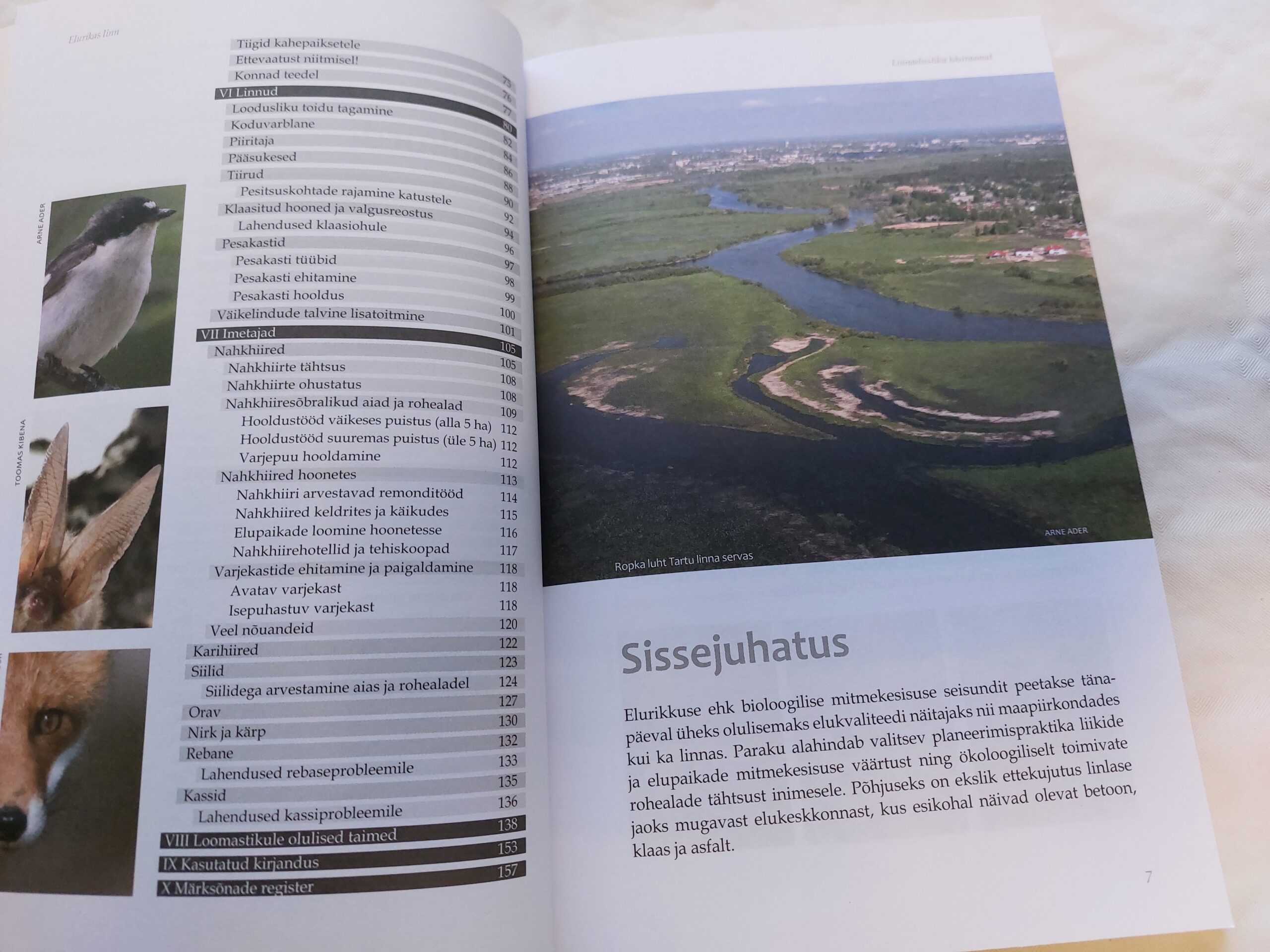 Elurikas linn. Linnaelustiku käsiraamat. Meelis Uustal, Piret Kuldna, Kaja Peterson. 2010 - Image 5