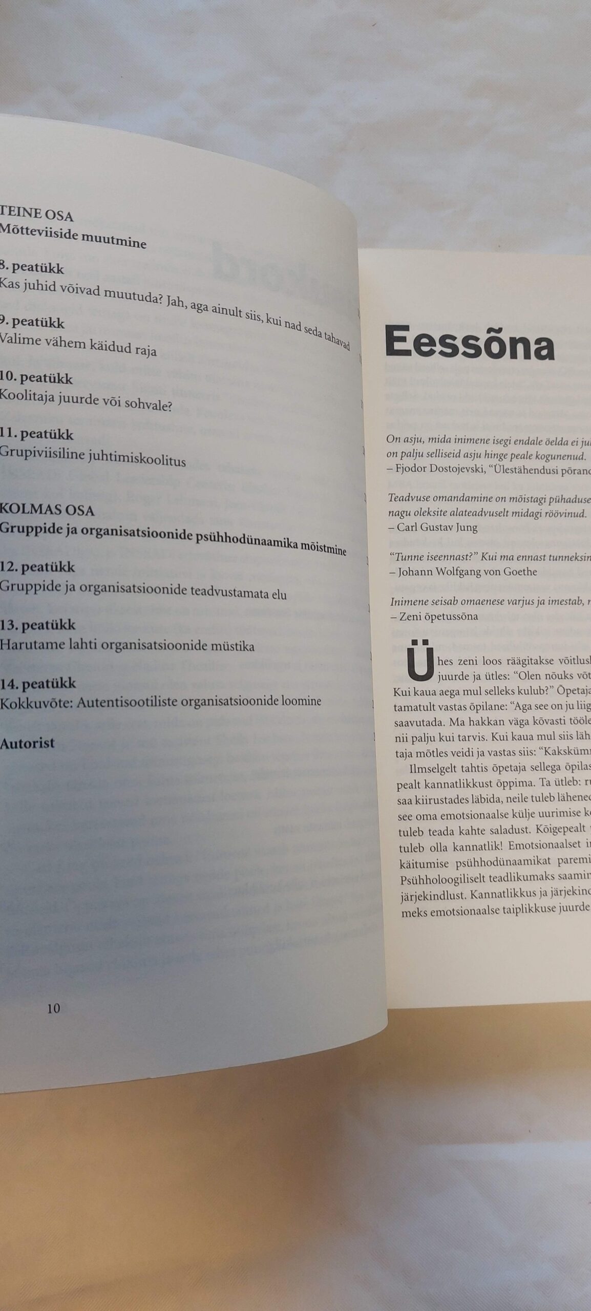 Liider sohval. Manfred F. R. Kets de Vires. 2006 - Image 4