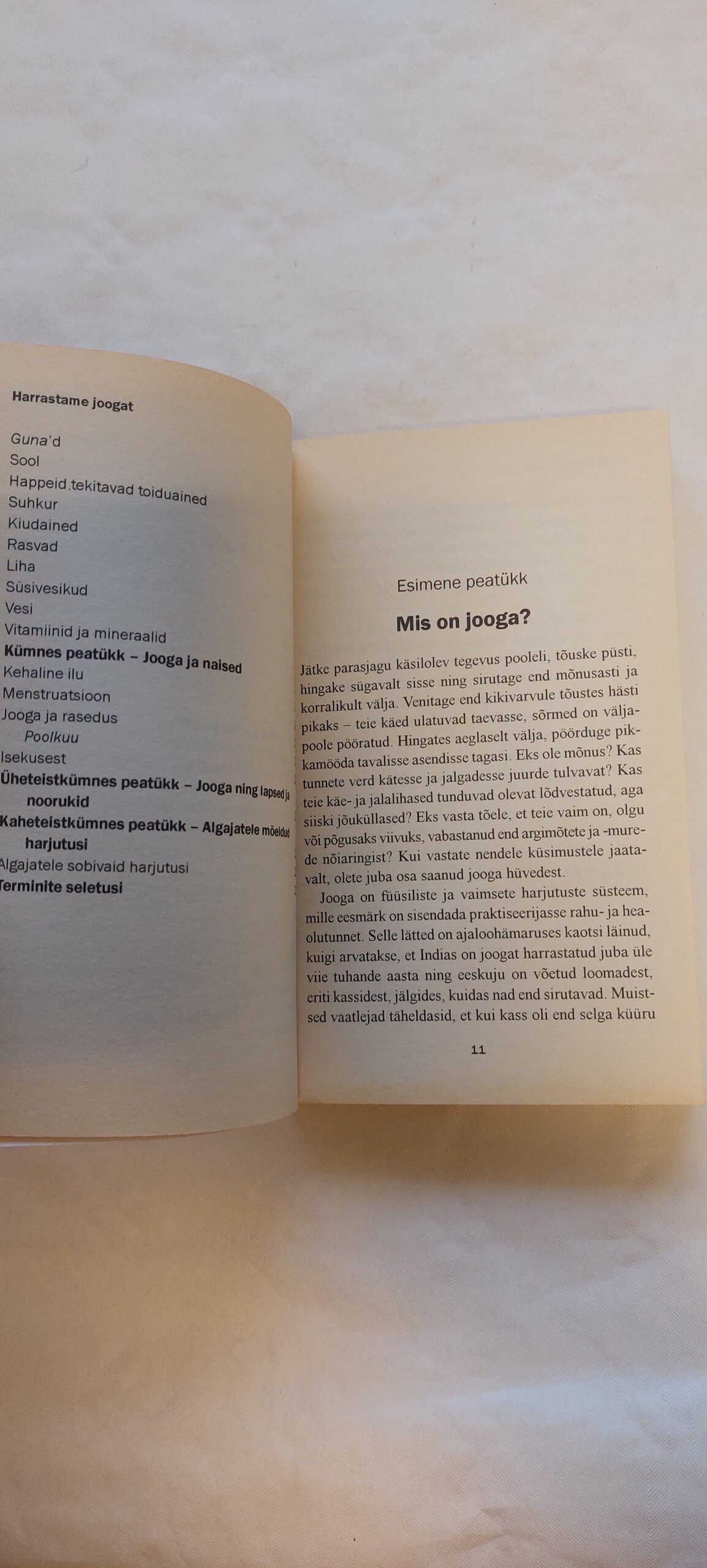 Harrastame joogat. 2002 - Image 6