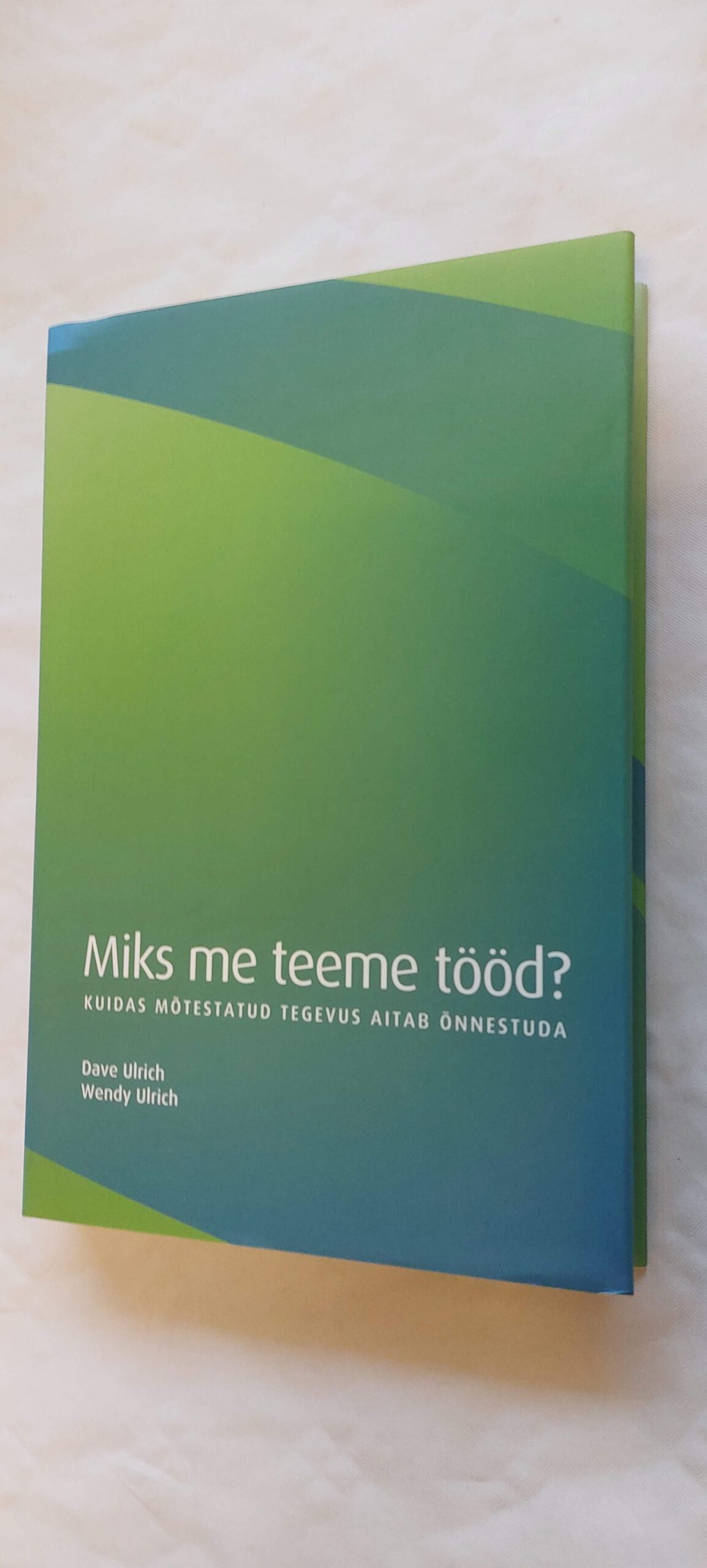 Miks me teeme tööd? Dave Ulrich, Wendy Ulrich. 2010