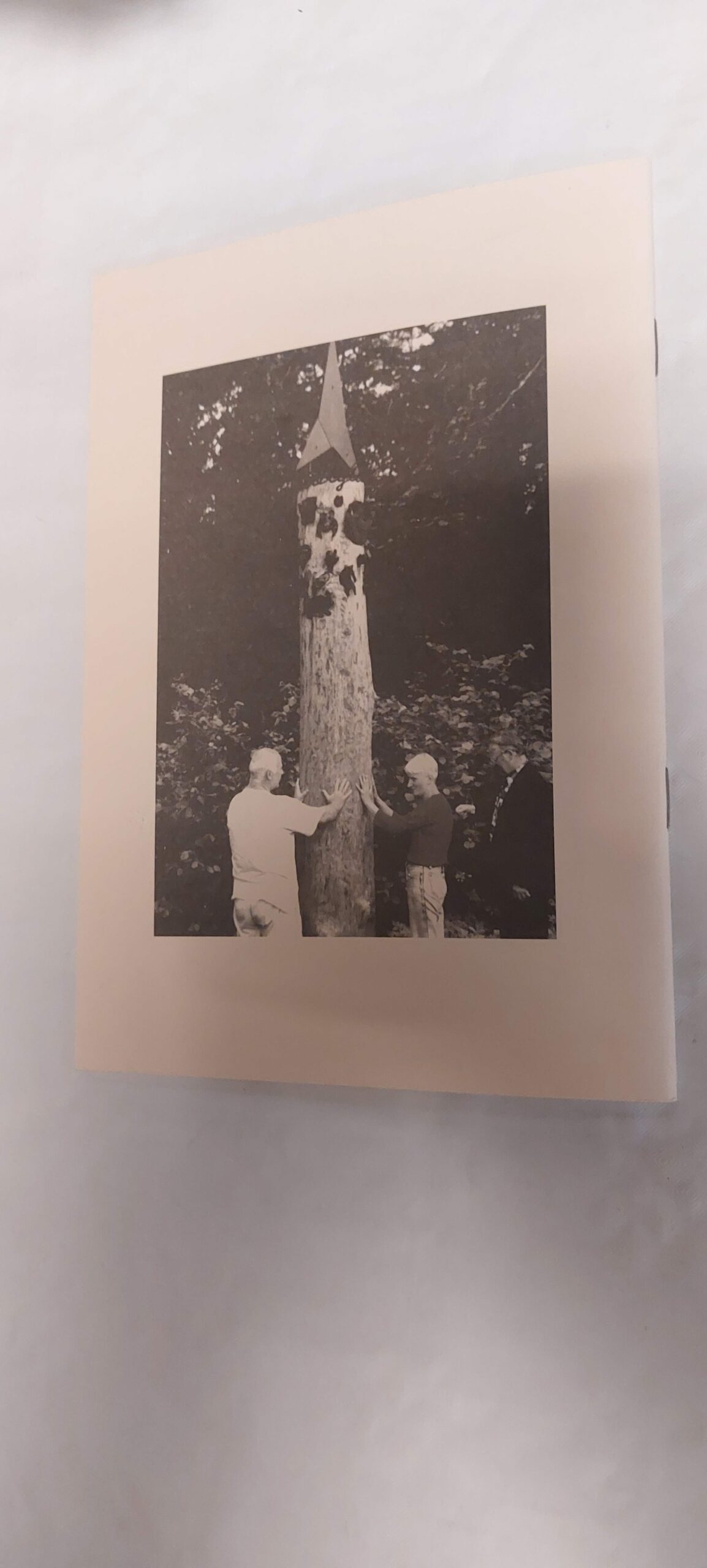 Feng Shui Eestis. 2001 - Image 4