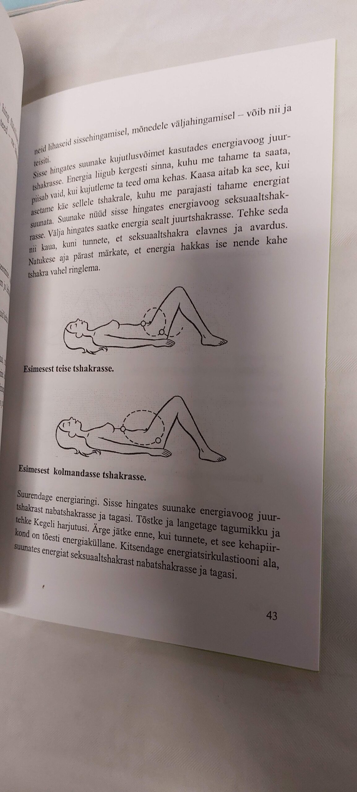 Bioenergeetika sari (5 tk). Ingvar Luhaäär. - Image 4