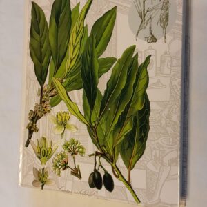 Tervist ja vürtsi maailma maitsetaimedest. Ain Raal. 2005