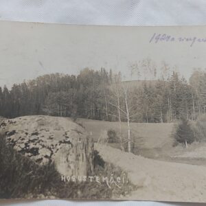 EV AEGNE POSTKAART. HOBUSTEMÄGI.
