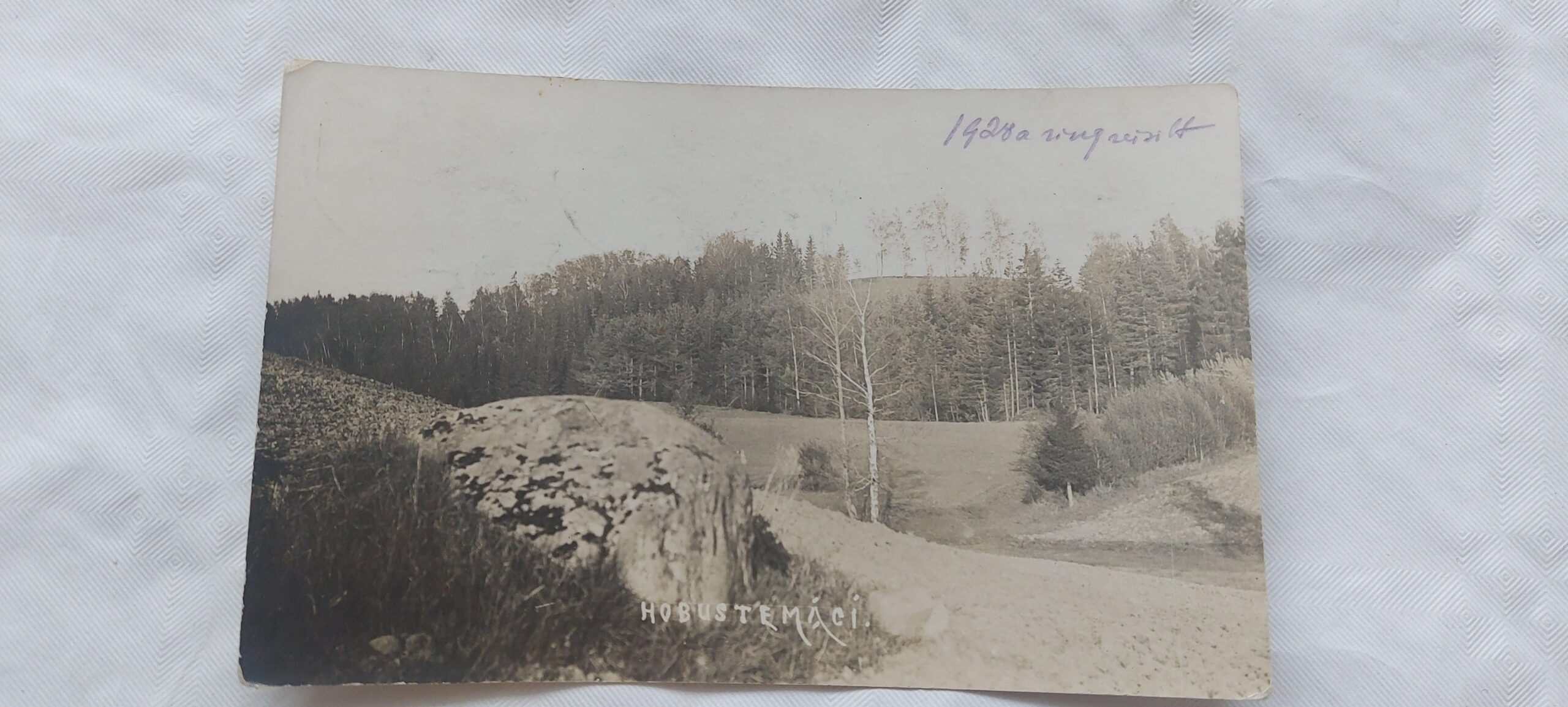 EV AEGNE POSTKAART. HOBUSTEMÄGI.