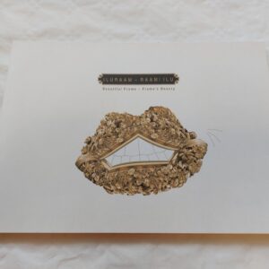 Iluraam – Raami ilu. Kataloog. Sirje Säär, Ülle Kruus, Alar Nurkse. 2008