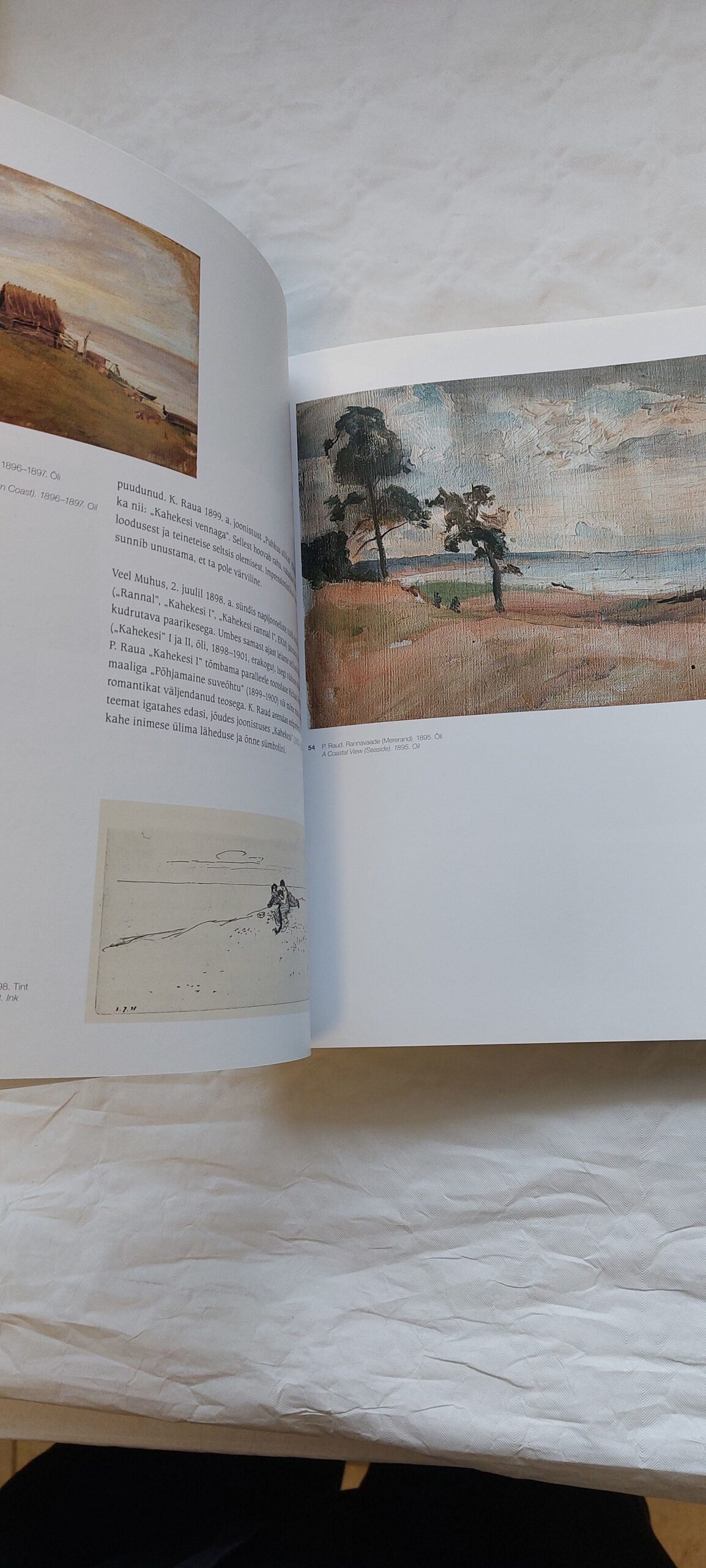 Ühest sajandist teise. Kristjan ja Paul Raud. 2006 - Image 4