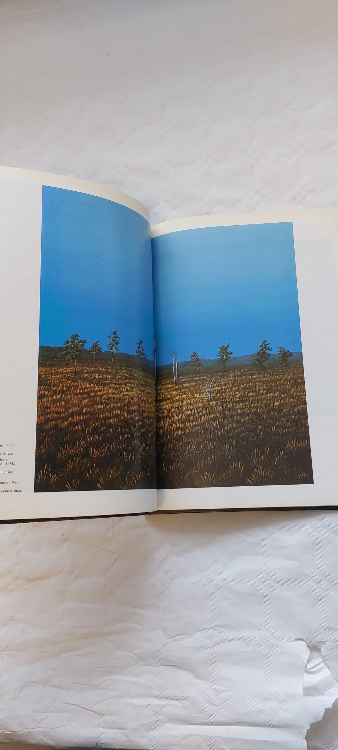 Toomas Vint. Maria Šaškina. 1993 - Image 3