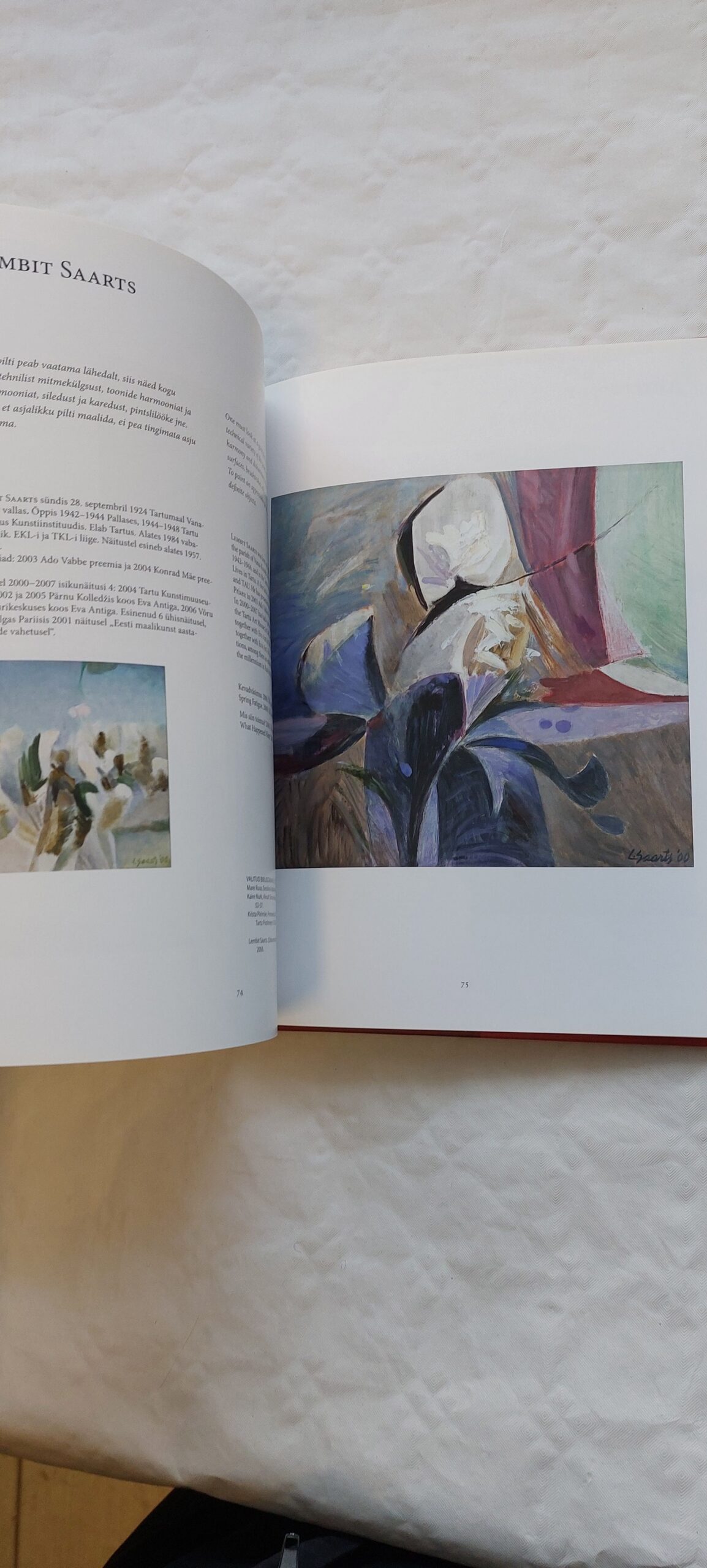 Tartu kunst XXI sajandi algul. Krista Piirimäe. 2009 - Image 4