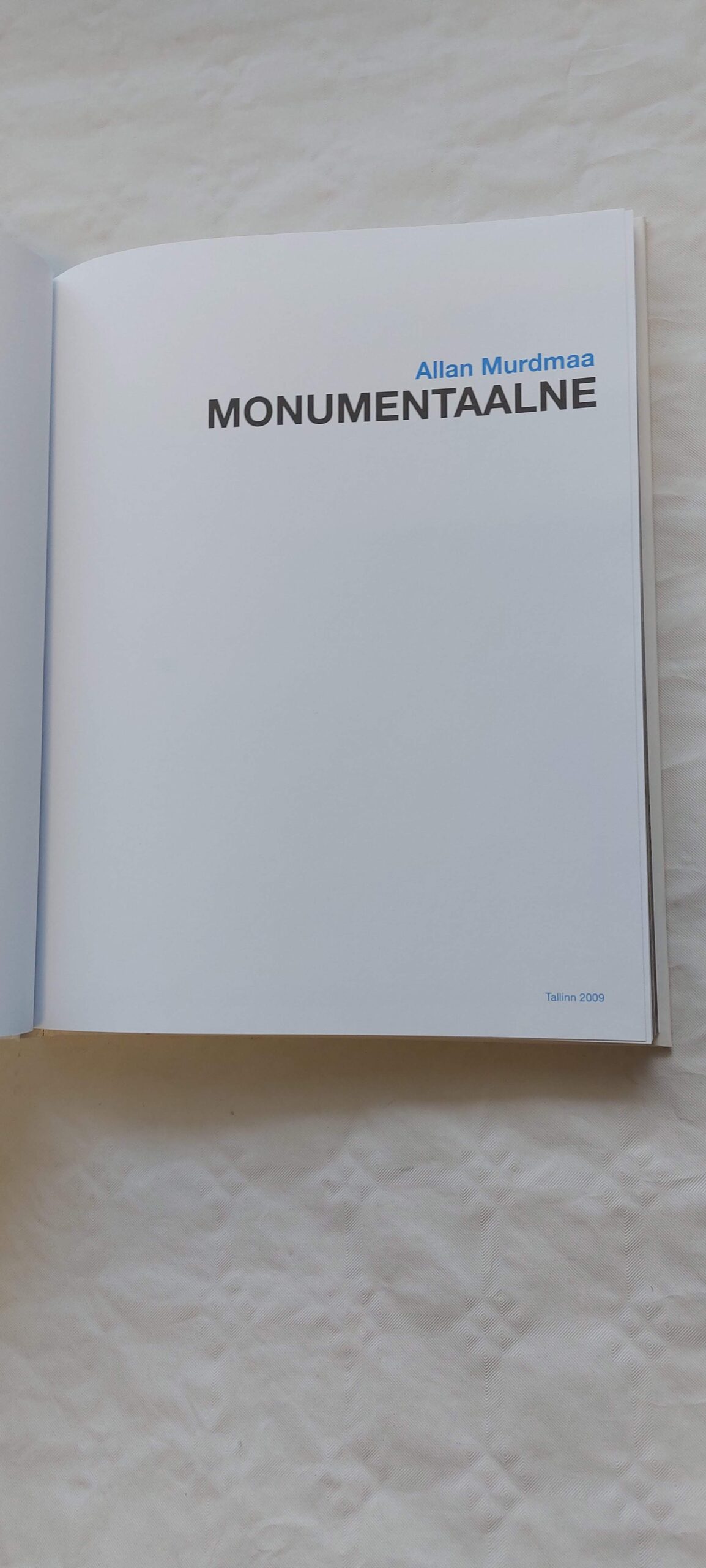 Monumentaalne. Allan Murdmaa. 2009 - Image 2