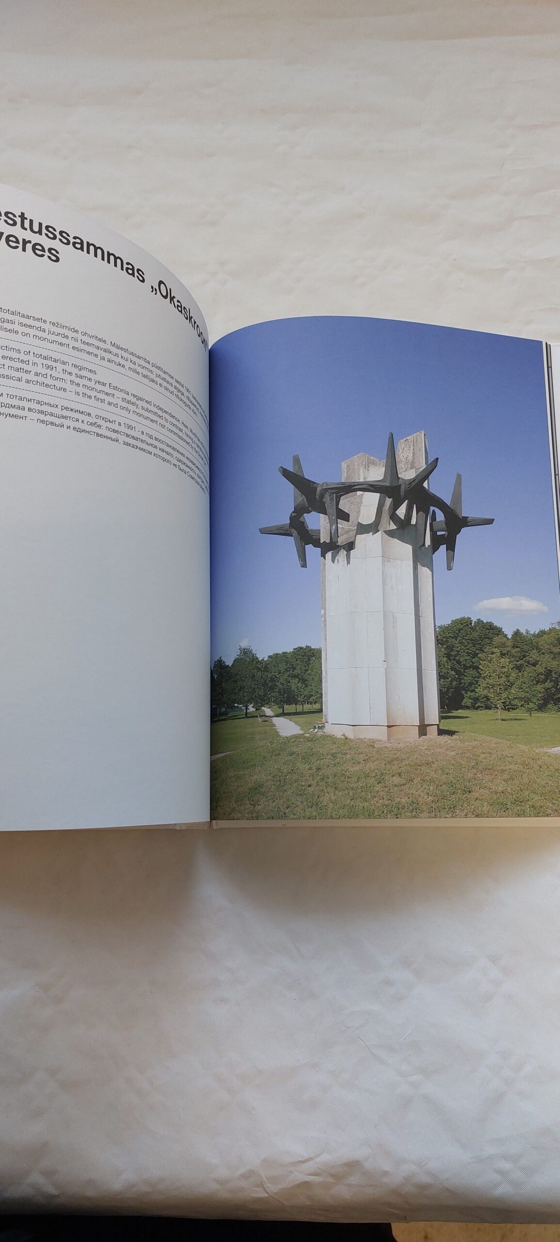 Monumentaalne. Allan Murdmaa. 2009 - Image 4