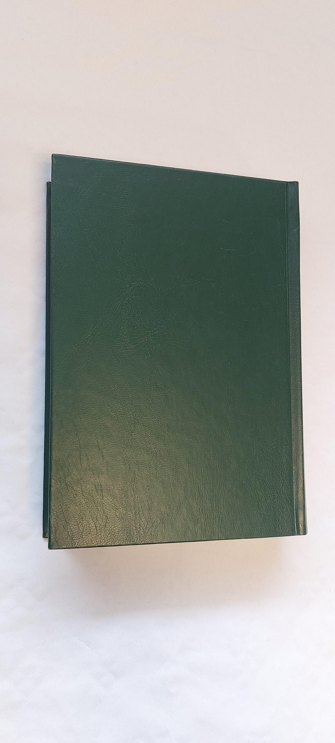 SOOME-EESTI SÕNARAAMAT. KALJU PIHEL, ARNO PIKAMÄE. 1999 - Image 5