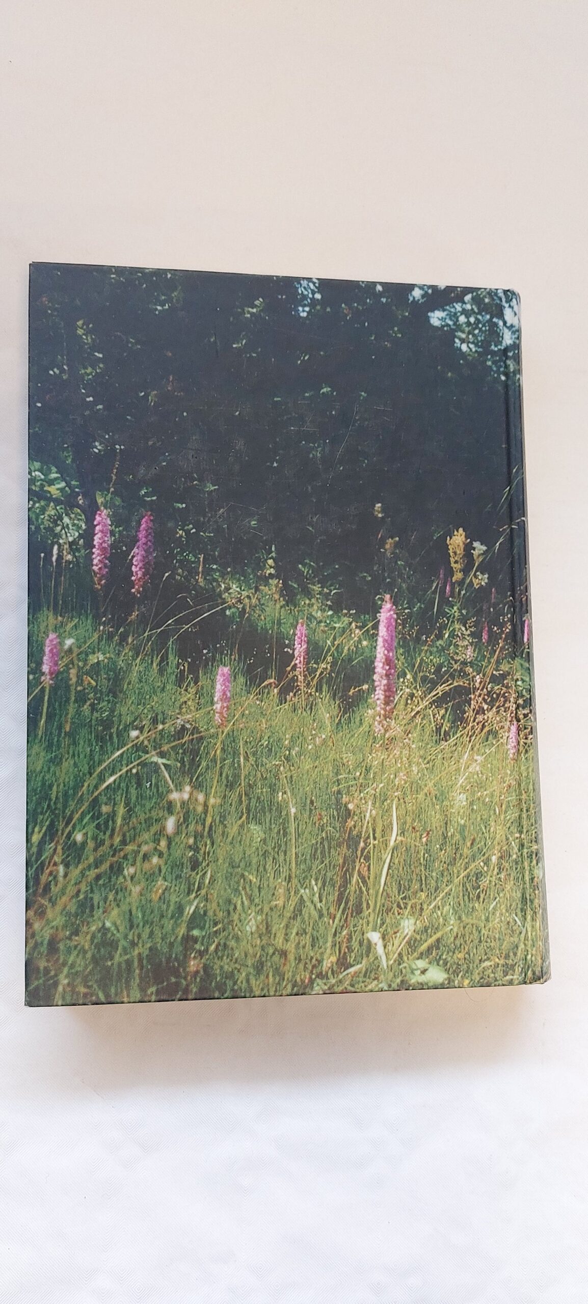 Eesti taimestik. Toomas Kukk. 1999 - Image 6