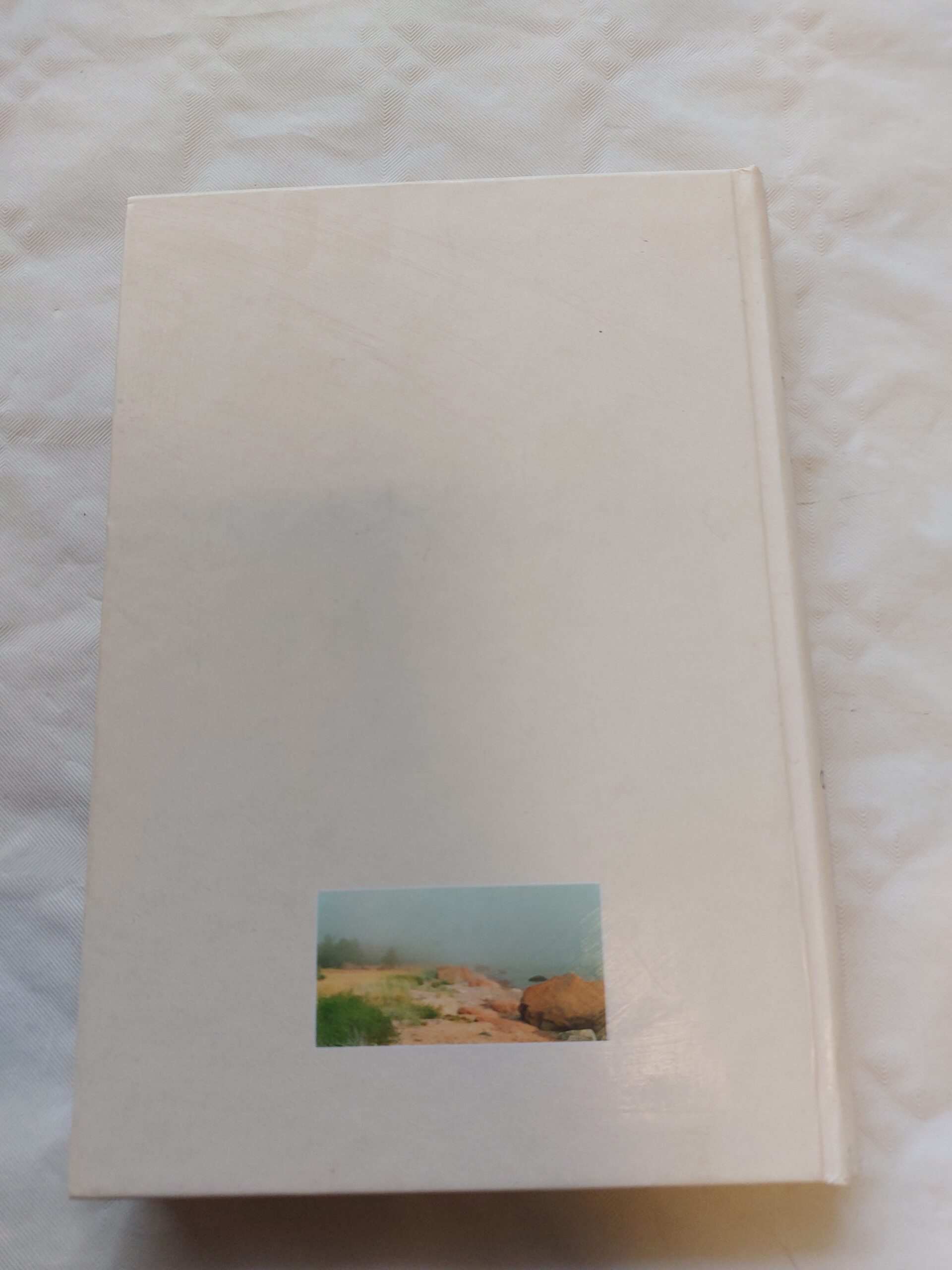 Hingamisruum. Heljo Mänd. 2003 - Image 3