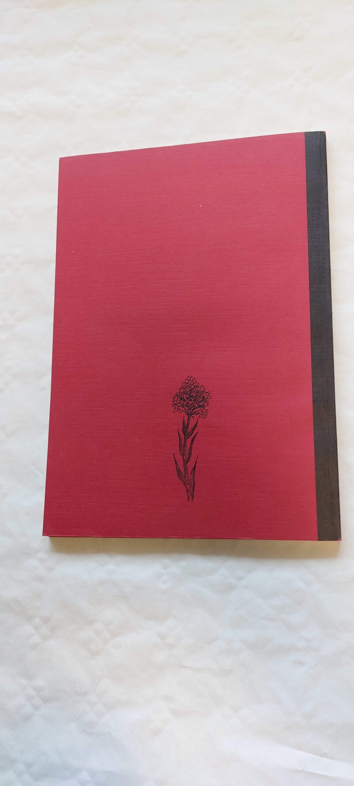 Eesti punane raamat. Ohustatud seened, taimed ja loomad. 1998 - Image 5