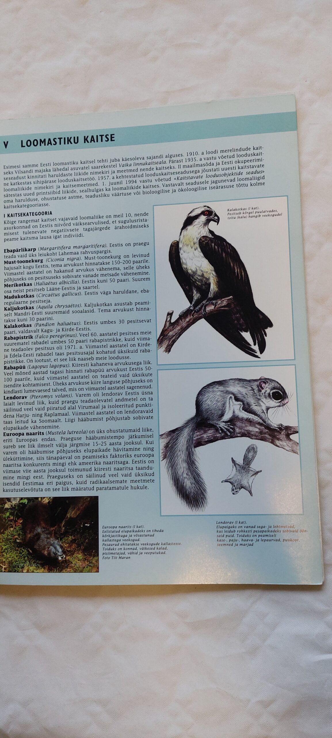 Eesti looduskaitse. 1996 - Image 3