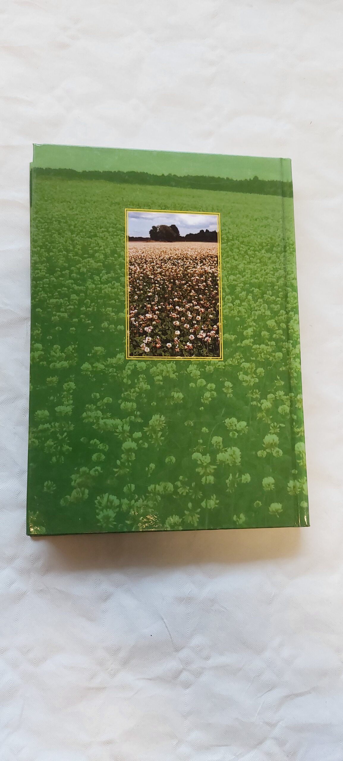 Heintaimede sordiaretus ja seemnekasvatus. Ajalooline ülevaade. Ants Bender. 2010 - Image 6