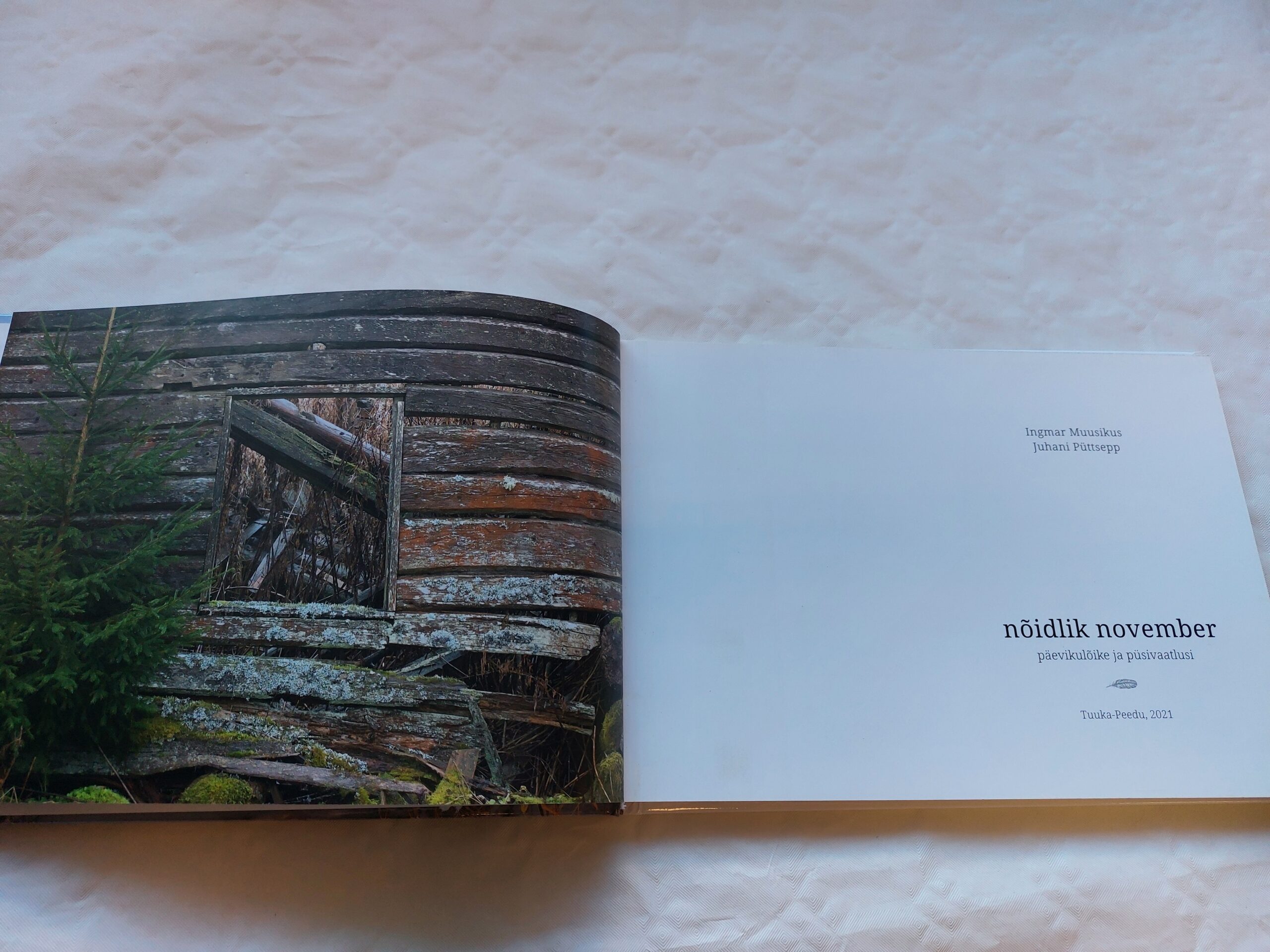 Nõidlik november. Ingmar Muusikus, Juhani Püttsepp. 2021 - Image 2