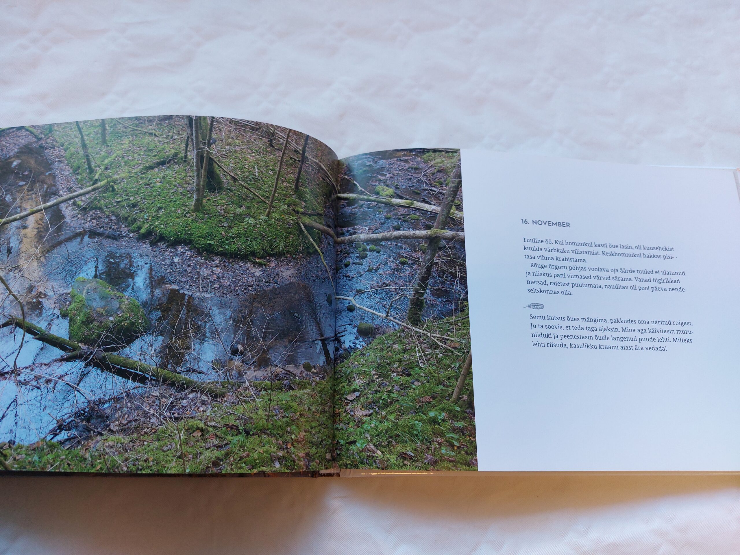 Nõidlik november. Ingmar Muusikus, Juhani Püttsepp. 2021 - Image 3