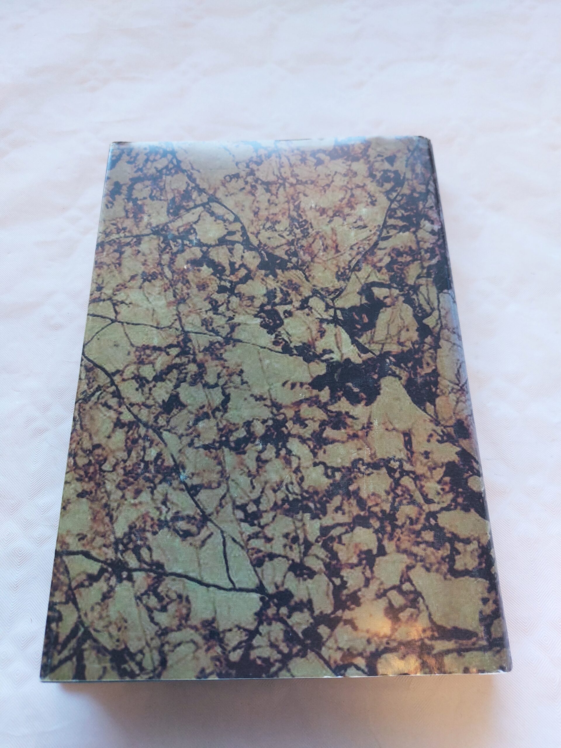 Endel Pärn - operetiprofessor. Marvi Taggo. 1998 - Image 6