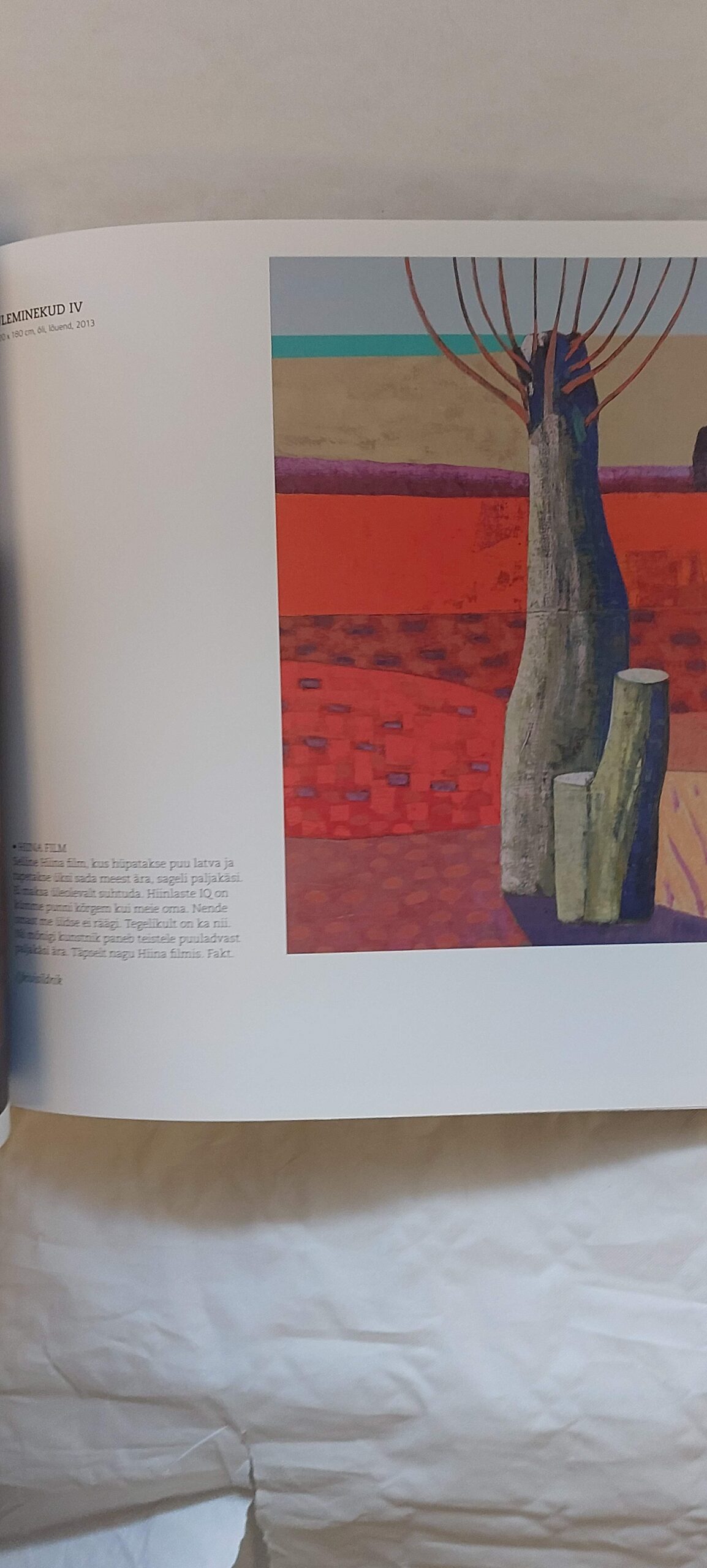 Äraseletatud pilidid. Juss Piho. 2013 - Image 4