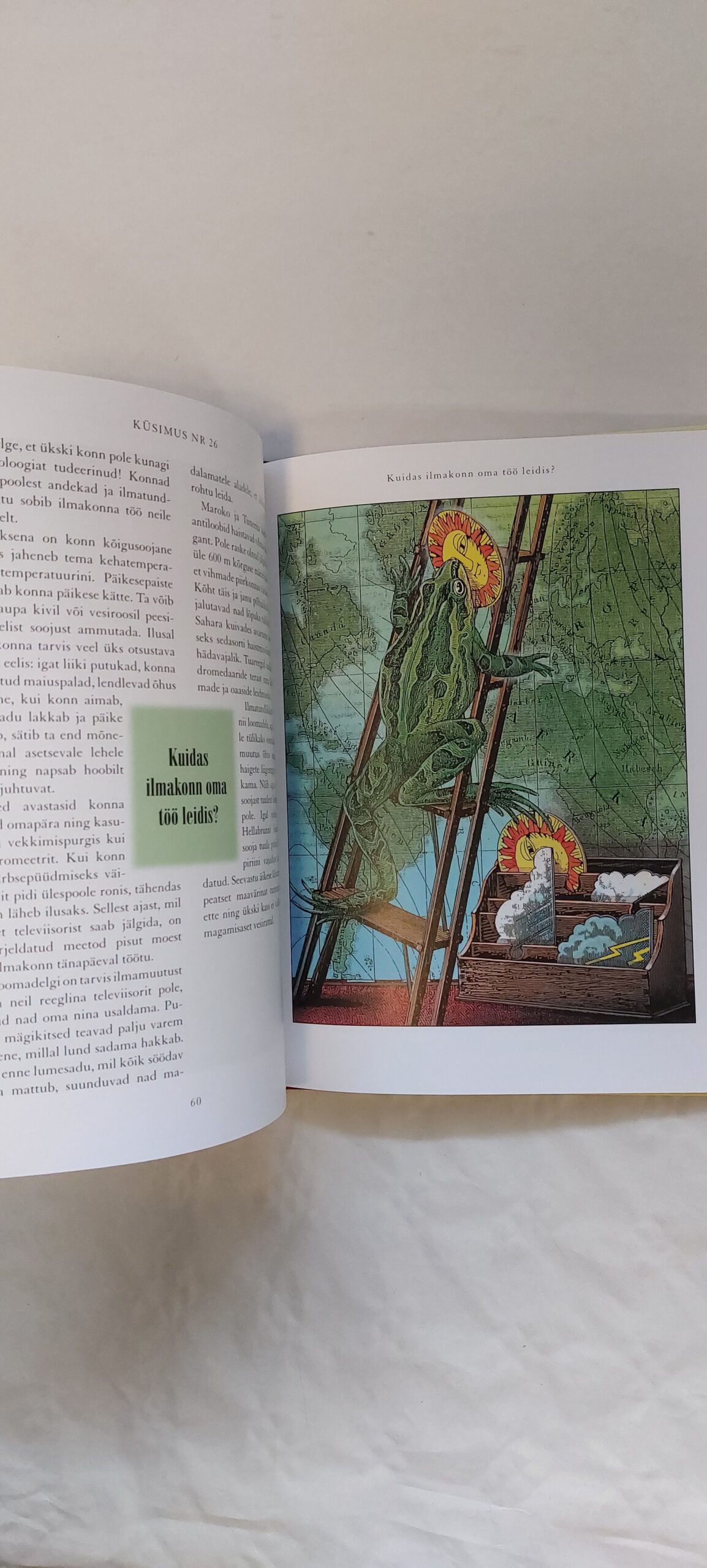 Kas loomad pesevad hambaid? ... ja teisigi küsimusi loomaaia direktorile. 2007 - Image 3