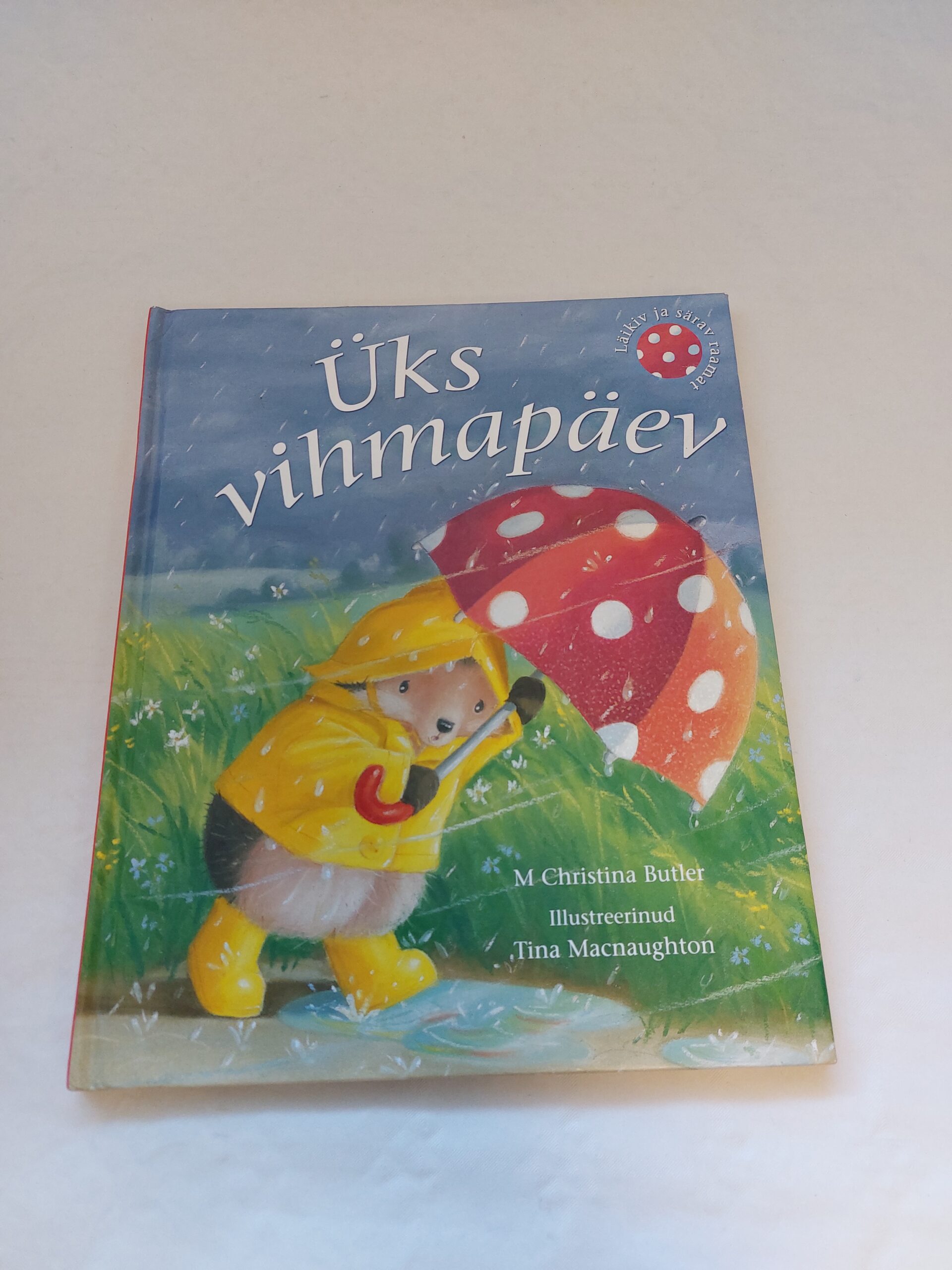 Üks vihmapäev. M. Christina Butler. 2009