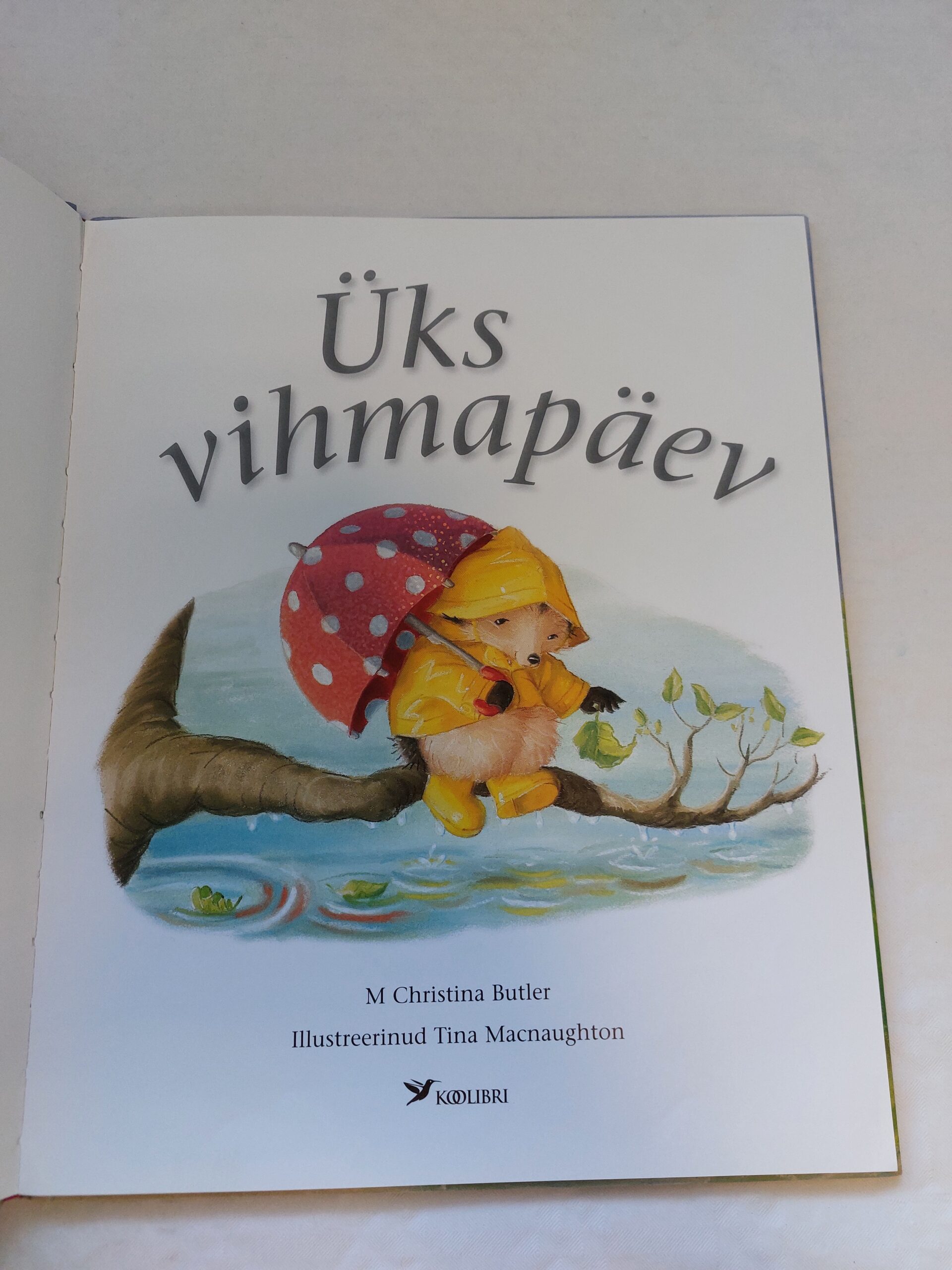 Üks vihmapäev. M. Christina Butler. 2009 - Image 2