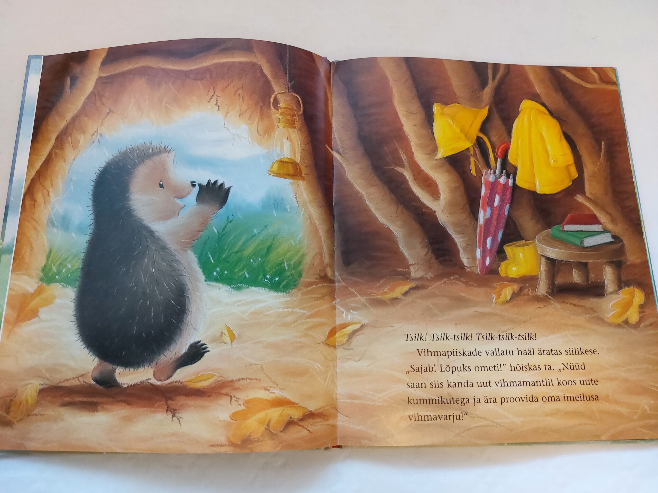 Üks vihmapäev. M. Christina Butler. 2009 - Image 3