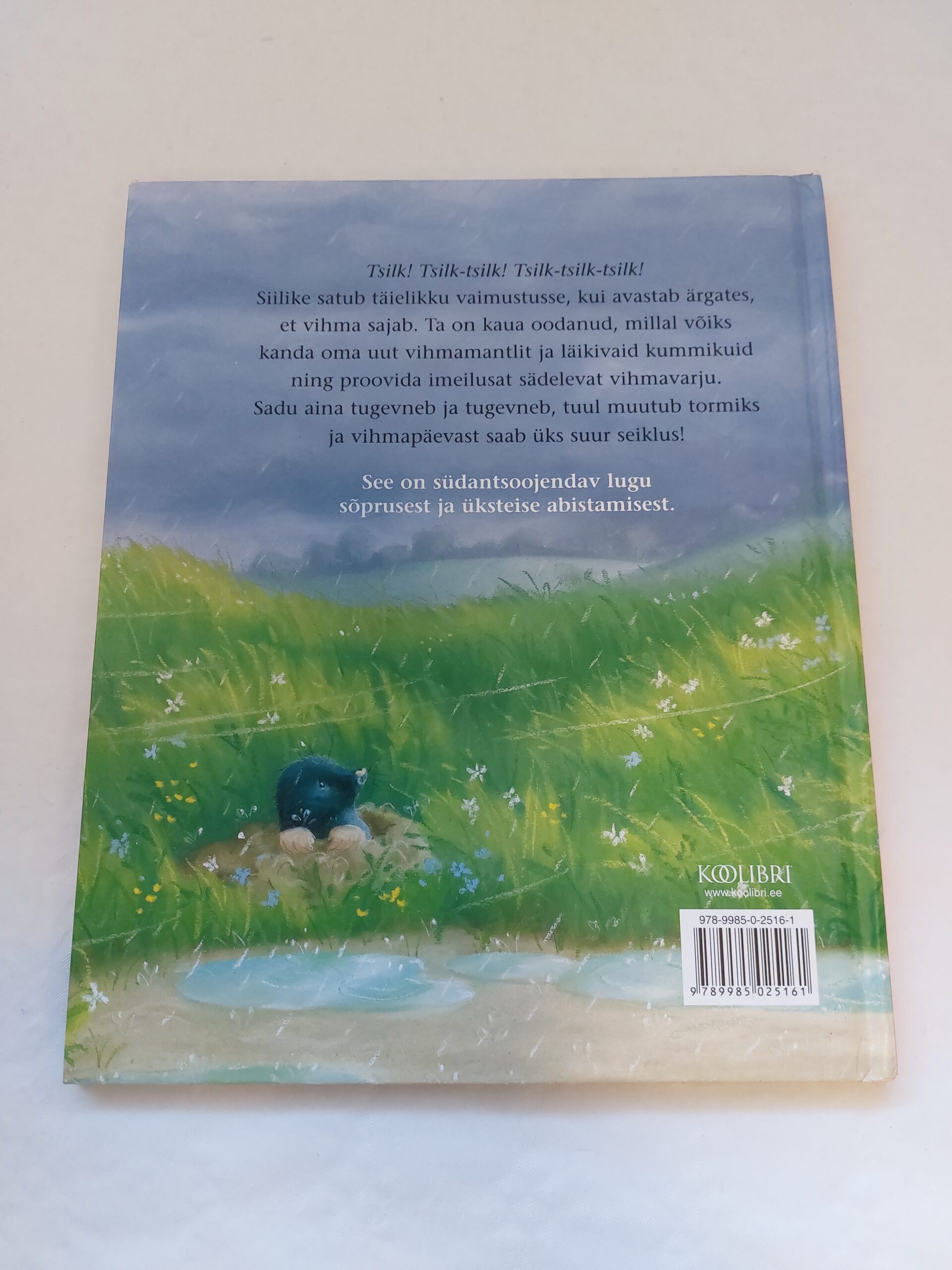 Üks vihmapäev. M. Christina Butler. 2009 - Image 4