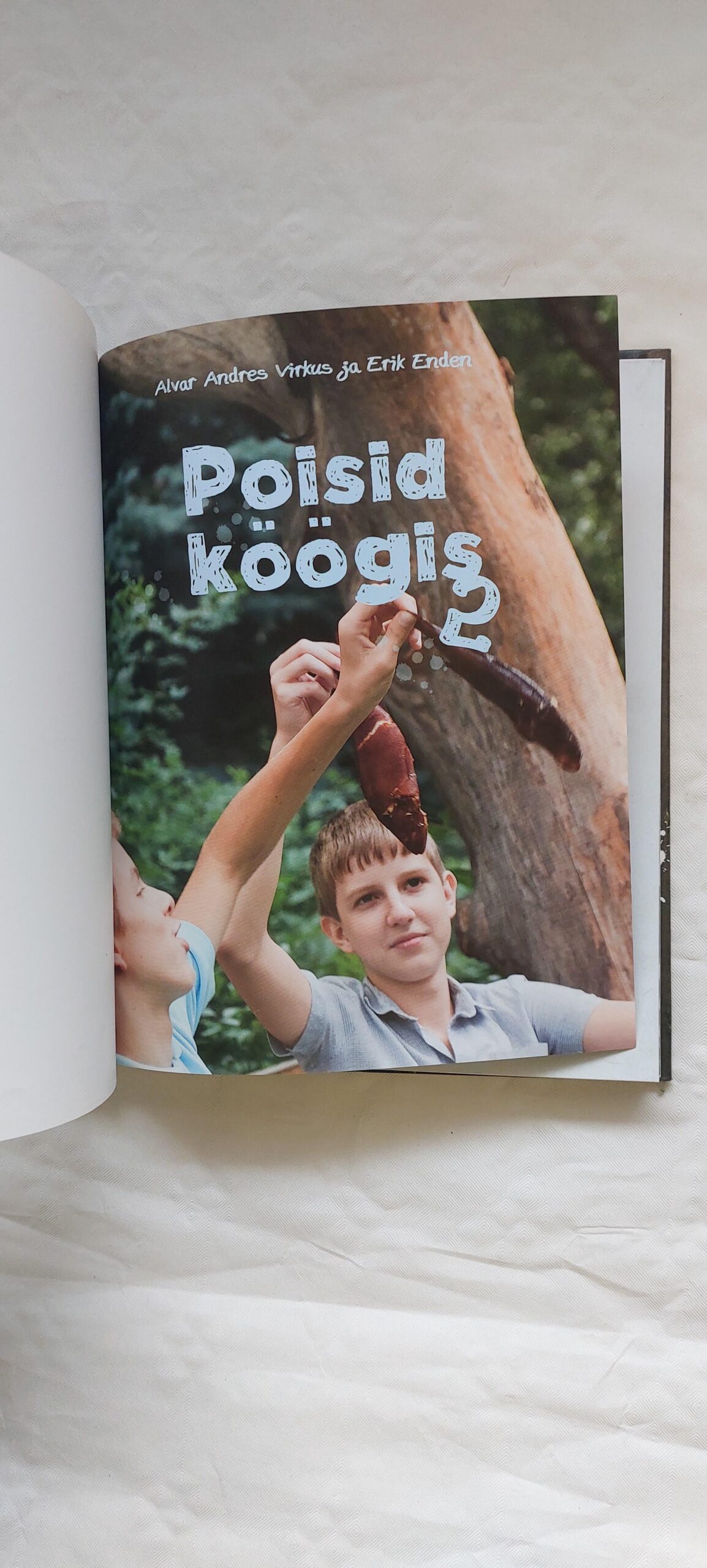 Poisid köögis 2. Alvar Andres Virkus, Erik Enden. 2011 - Image 2