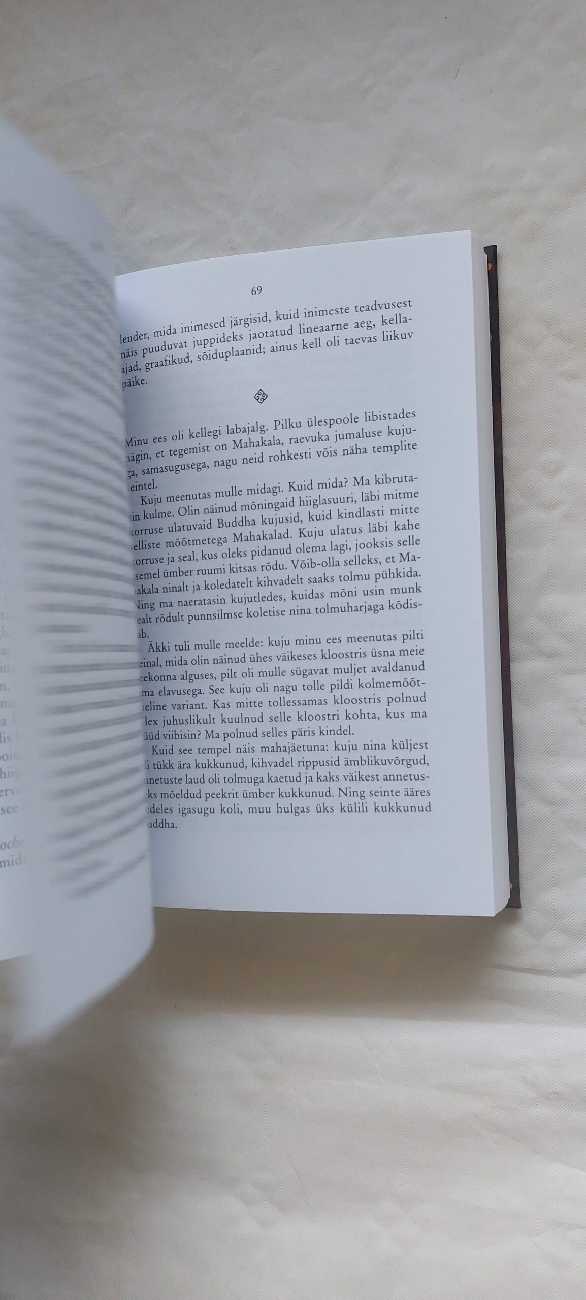 Jaipur-Delhi-Himaalaja reisikohvrist leitud lood. Aime Hansen. 2009 - Image 3